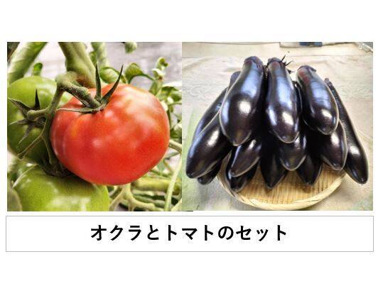 トマトとナスのセット<トマト1400g/ナス10本>【朝どれ】【夏ギフト 