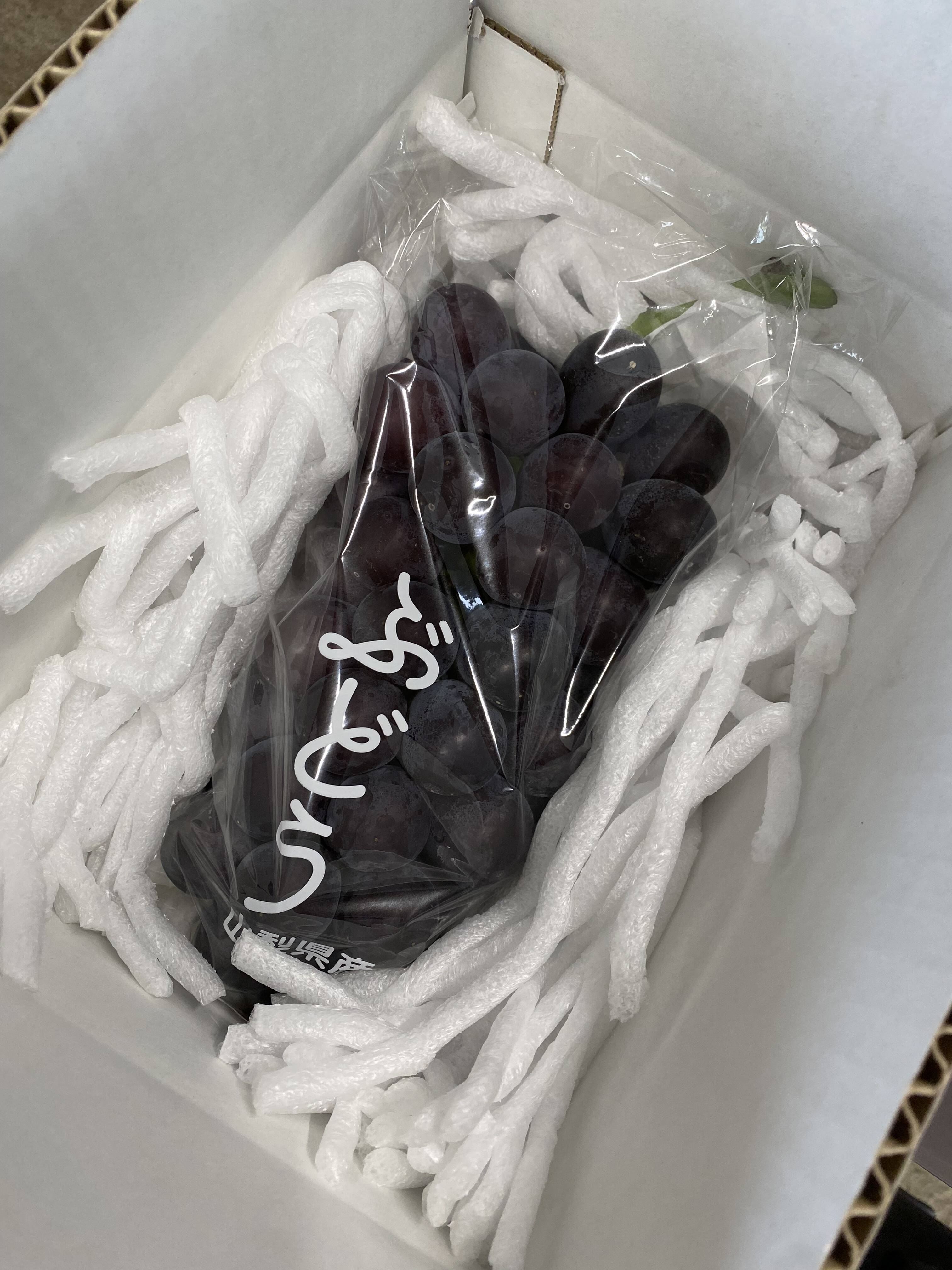 夏ギフト】大粒・大房！山梨県産藤稔 1kg：山梨県産の藤稔｜食べチョク