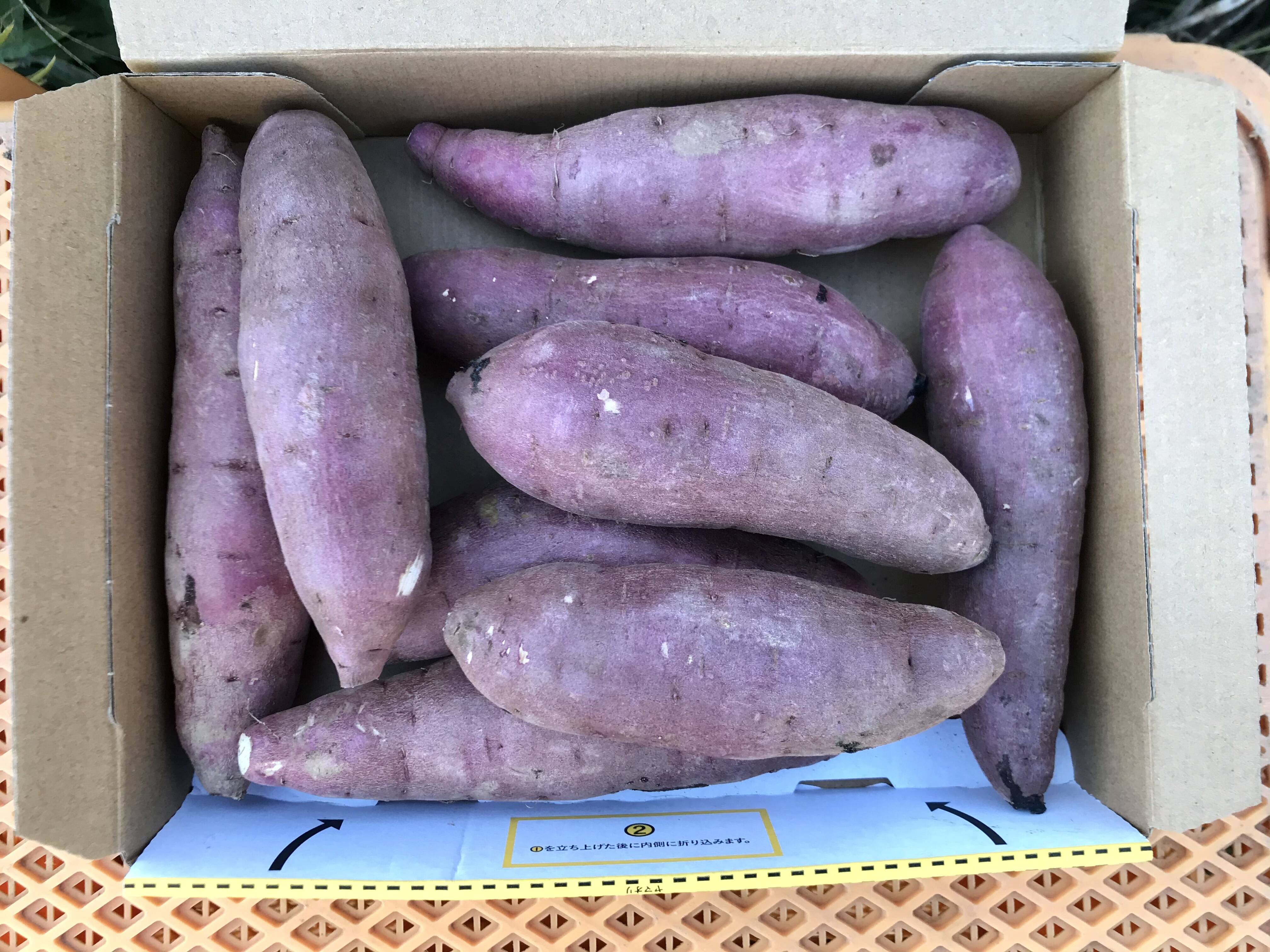 鹿児島産】甘塩サツマイモ箱込み1.5キロ^_^：鹿児島県産のべに