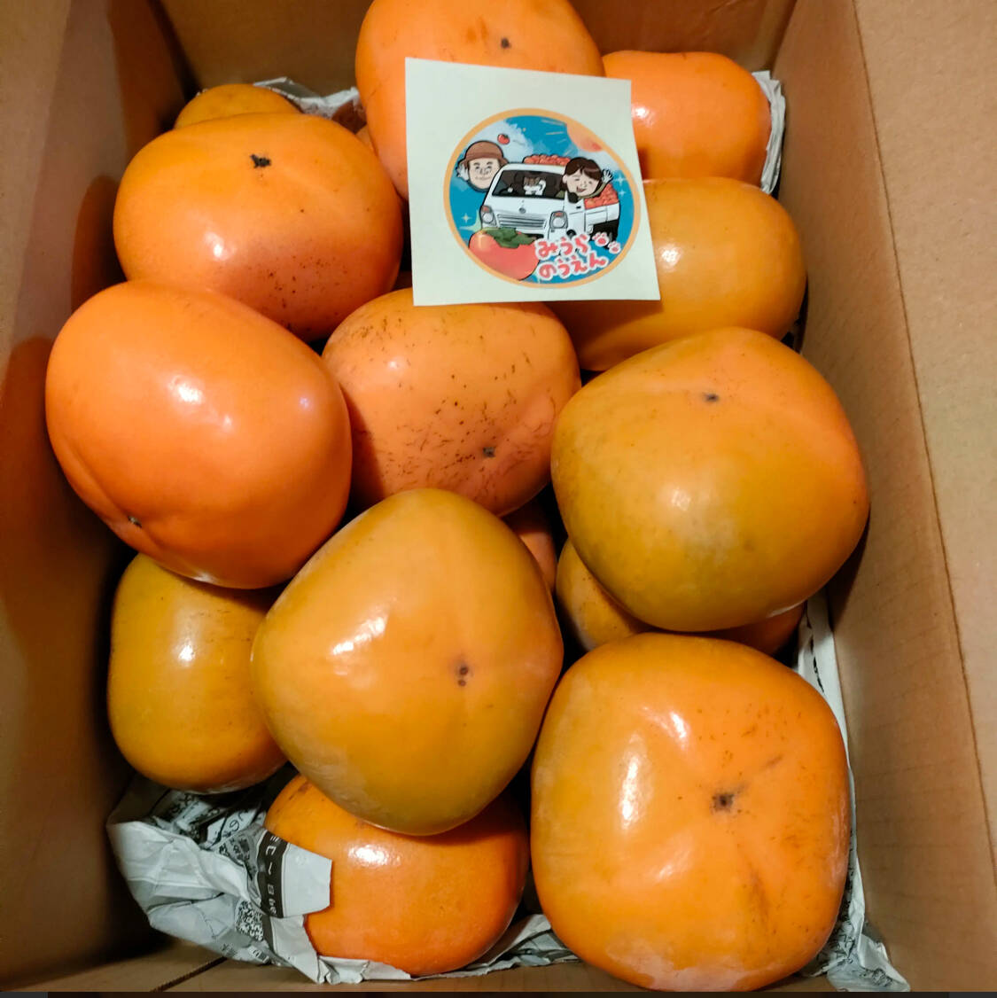 送料500円引き】 🍁秋の恵み🍂《橋本ふるさと便》 和歌山橋本の柿ご