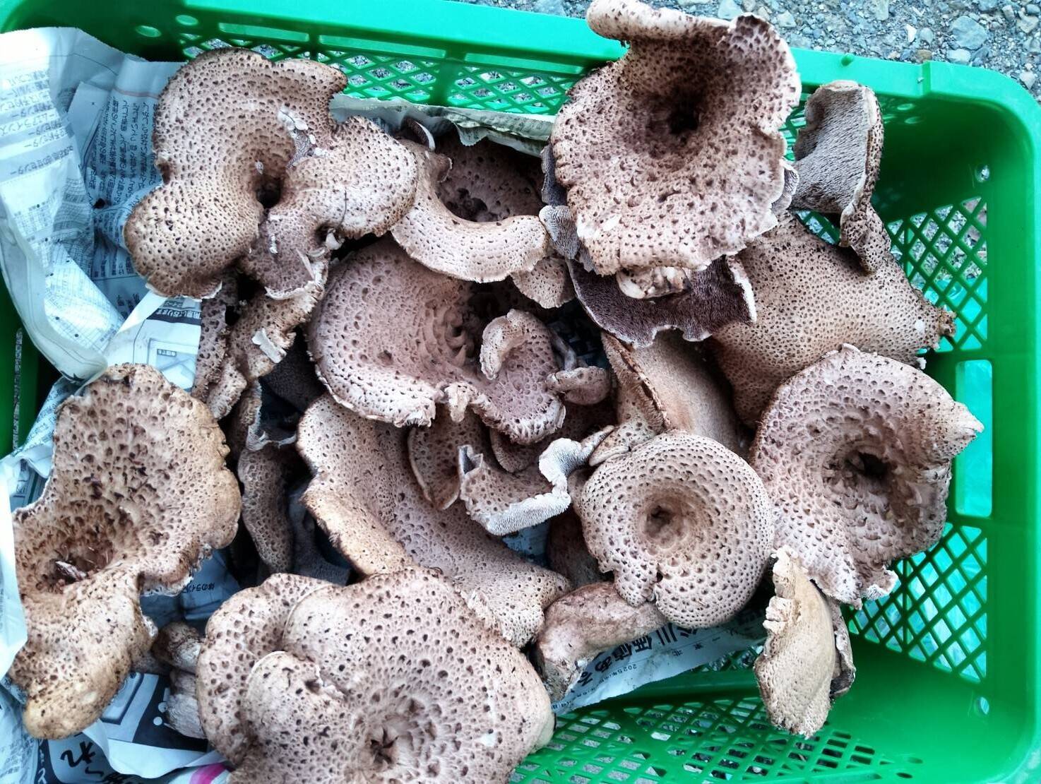 a9aead05f8c643c8565fab7a29d964