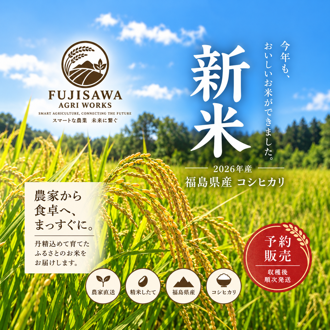 福島県産 こしひかり 10kg 新米 精米 送料無料 農家直送 2026年新米・予約販売】福島県産コシヒカリ 10kg /農家直送・精米した