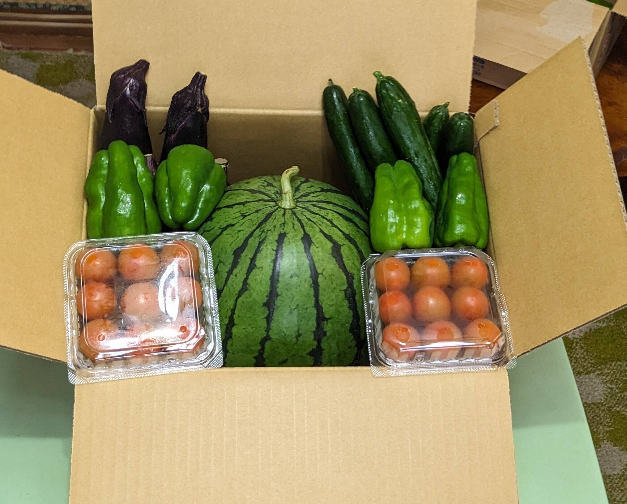 スイカ中玉＋野菜旬セット3品目を80ｻｲｽﾞ箱に詰め合せてお届けします