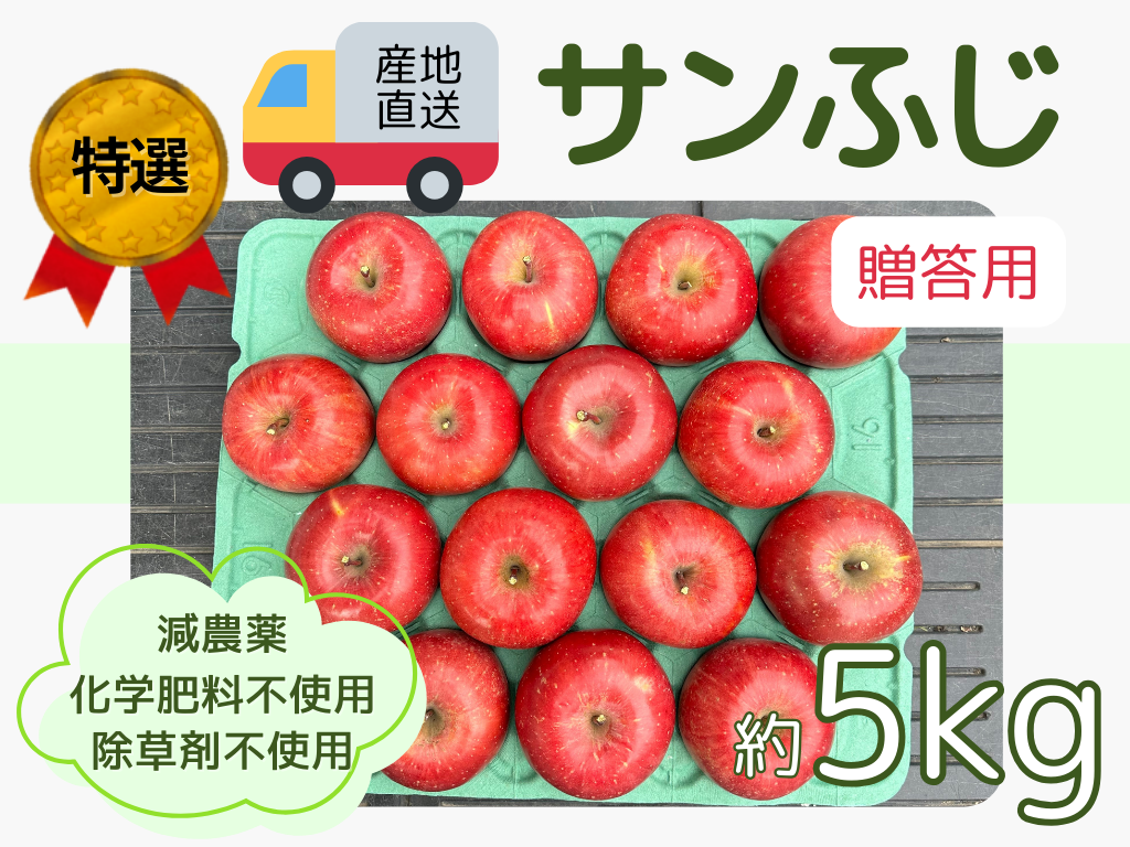 もぎたて 即日発送 りんご サンふじ 贈答用 5kg 長野県産 信州りんご発祥の地 産地直送 除草剤不使用 人にやさしく環境にもやさしい：長野県産のふじ｜食べチョク｜産地直送(産直)お取り寄せ通販  - 農家・漁師から旬の食材を直送