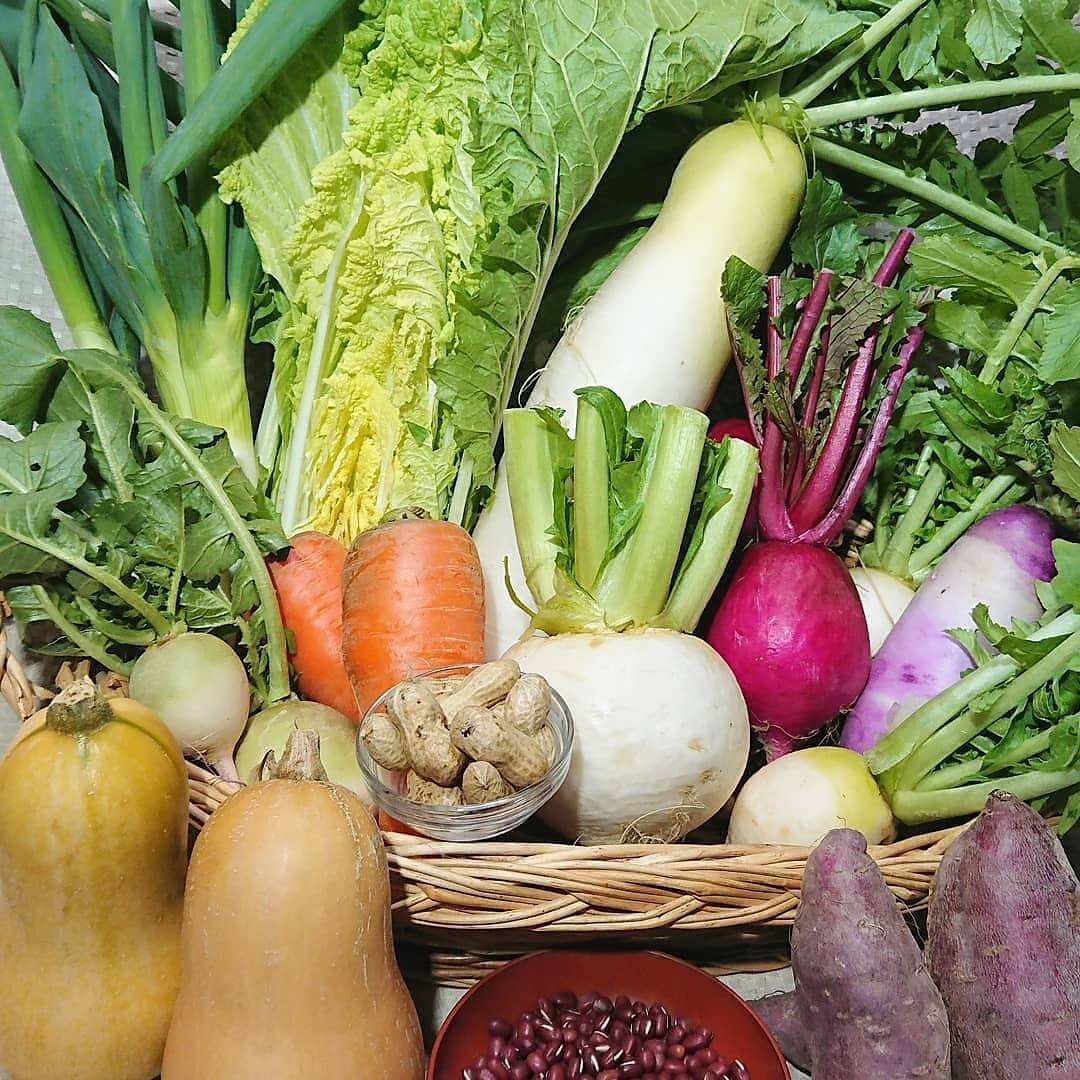 オーガニック】採れたて旬の野菜セット（5品程度）Sサイズ 香害対策