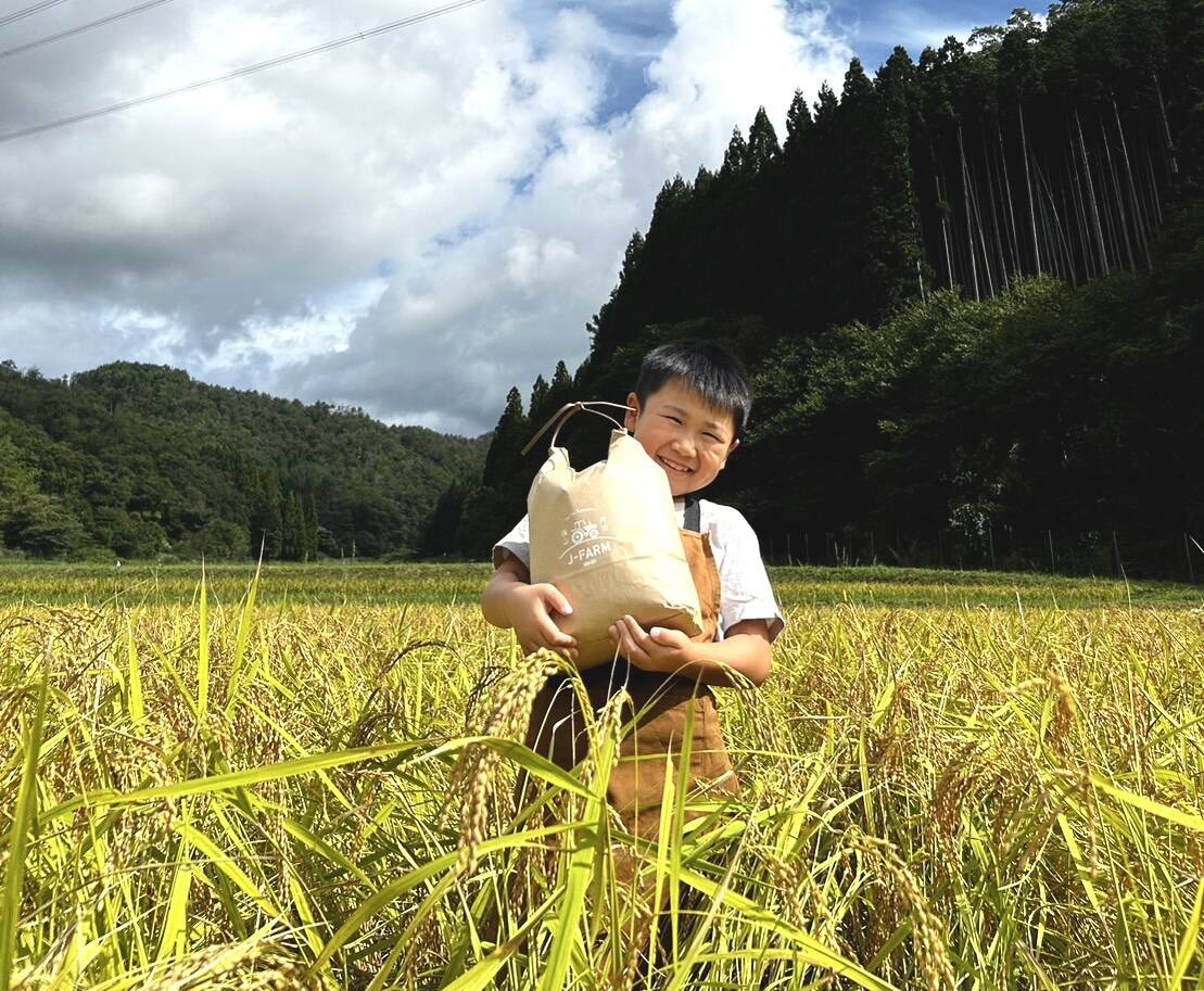 新米】令和5年度産 丹波篠山産コシヒカリ米 10キロ：兵庫県産の