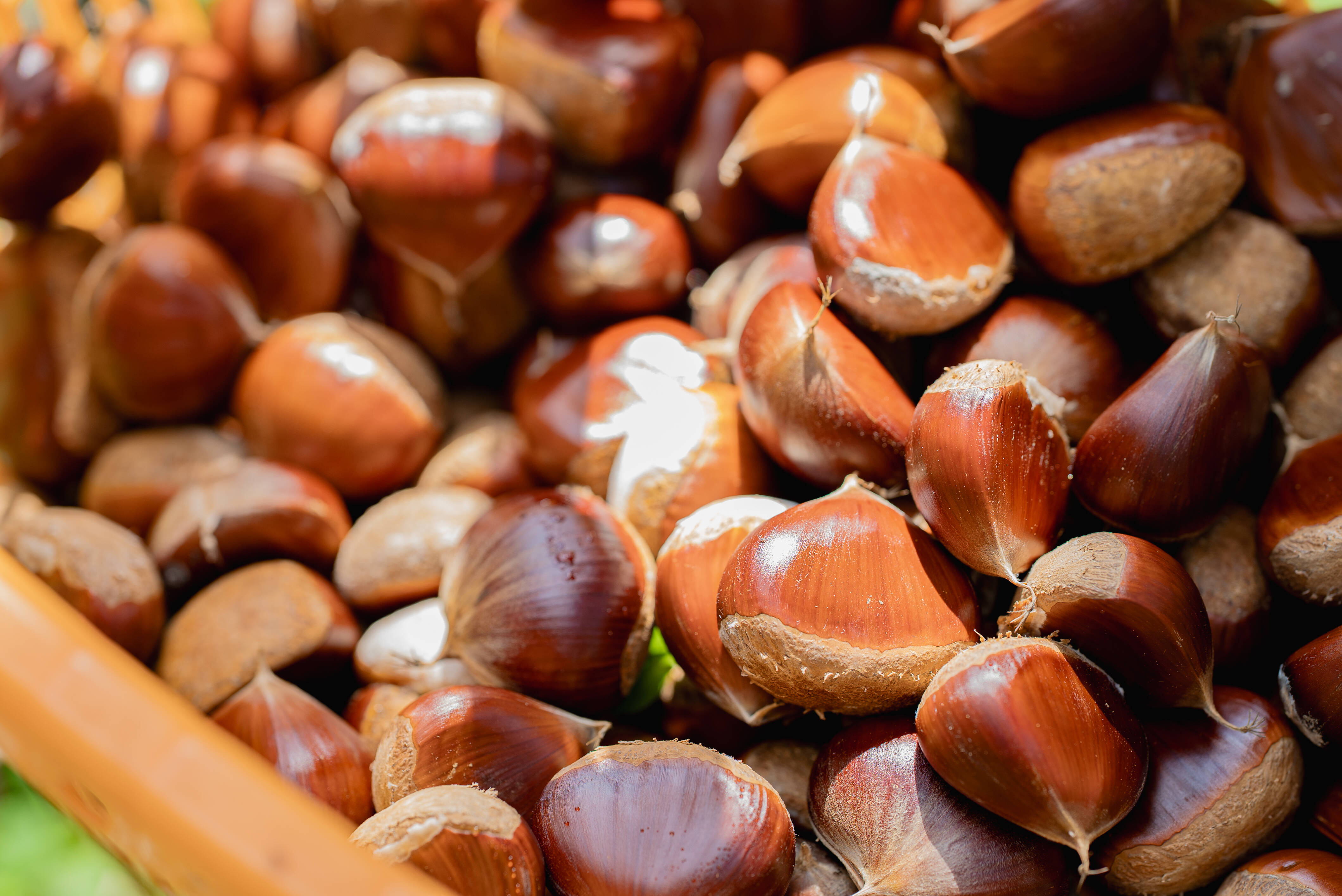 aa555ba73dccf26483b130db362f13