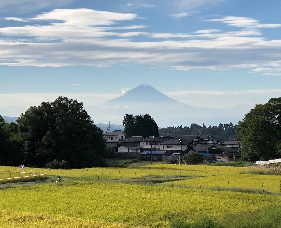 いやさか田畑CLUBへのレビュー・商品：山梨県｜食べチョク｜産地直送(産直)お取り寄せ通販 - 農家・漁師から旬の食材を直送