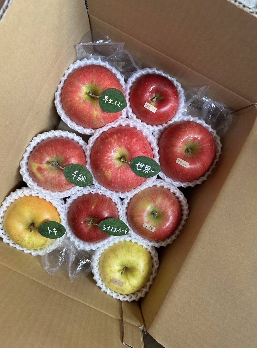 2026年産予約)🍎【アワード受賞福袋】 【食べ比べ】(家庭用)5品種