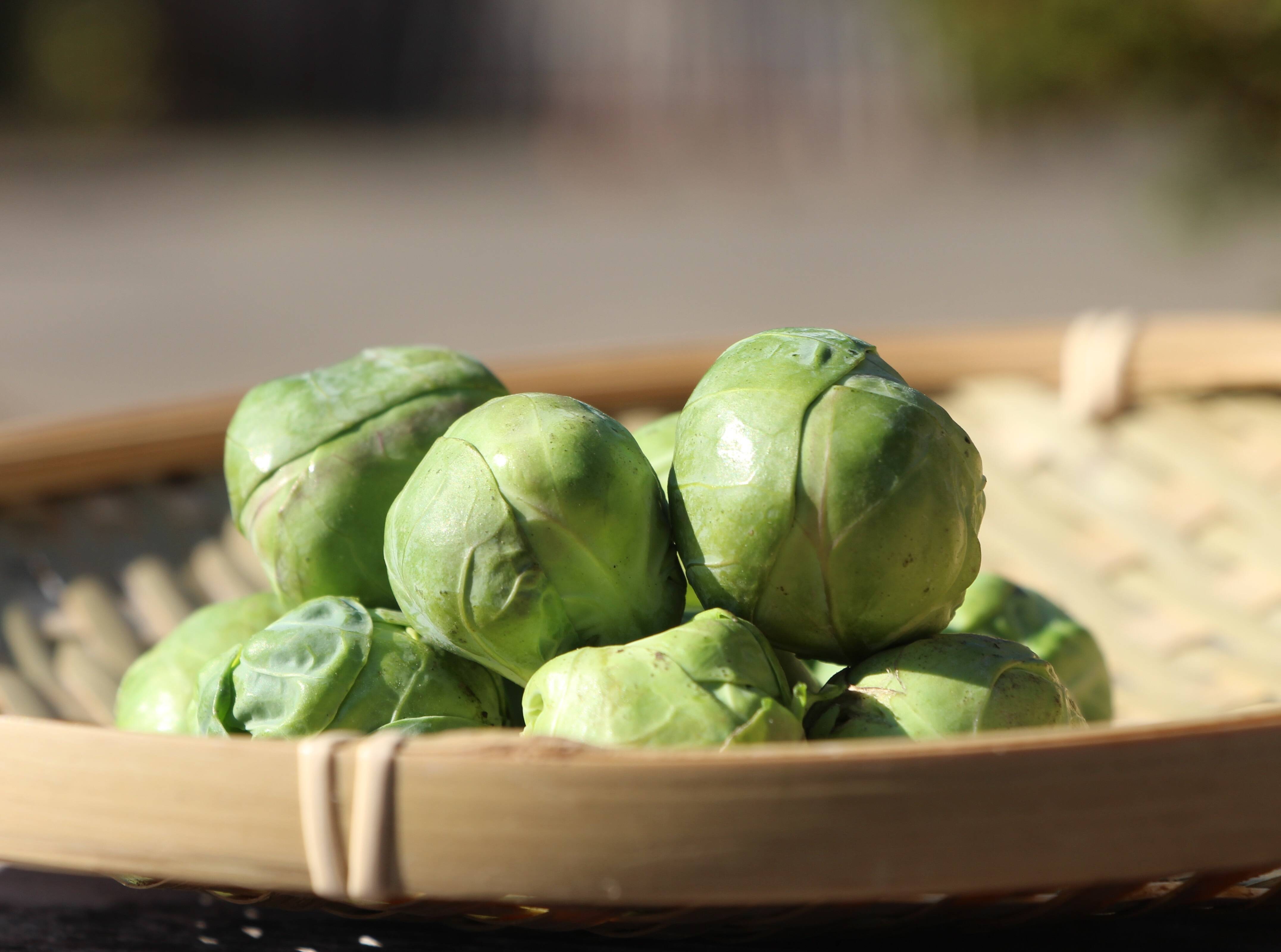 コロコロ 激旬 野菜の芽キャベツ 1 見た目かわいいパワーフード 福岡県産の野菜 食べチョク 産地直送 産直 お取り寄せ通販 農家 漁師から旬の食材を直送