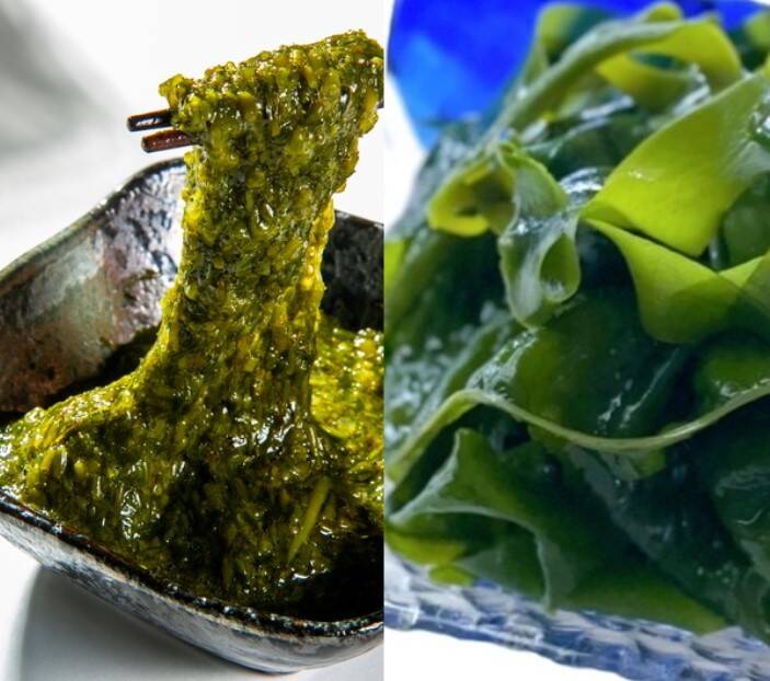 塩蔵わかめ9キロ 玄界灘産 九州のアカモク15パック 塩蔵わかめ9パック：福岡県産の加工