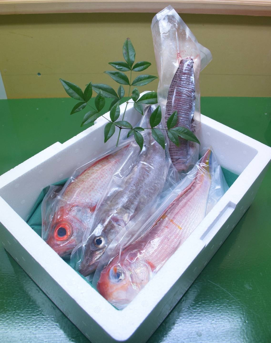 漁師直送お買い得な高級鮮魚セット 鮮魚セット 約4kg～8kg | 目安人数8～16人。親戚を呼んでのお祝いごと