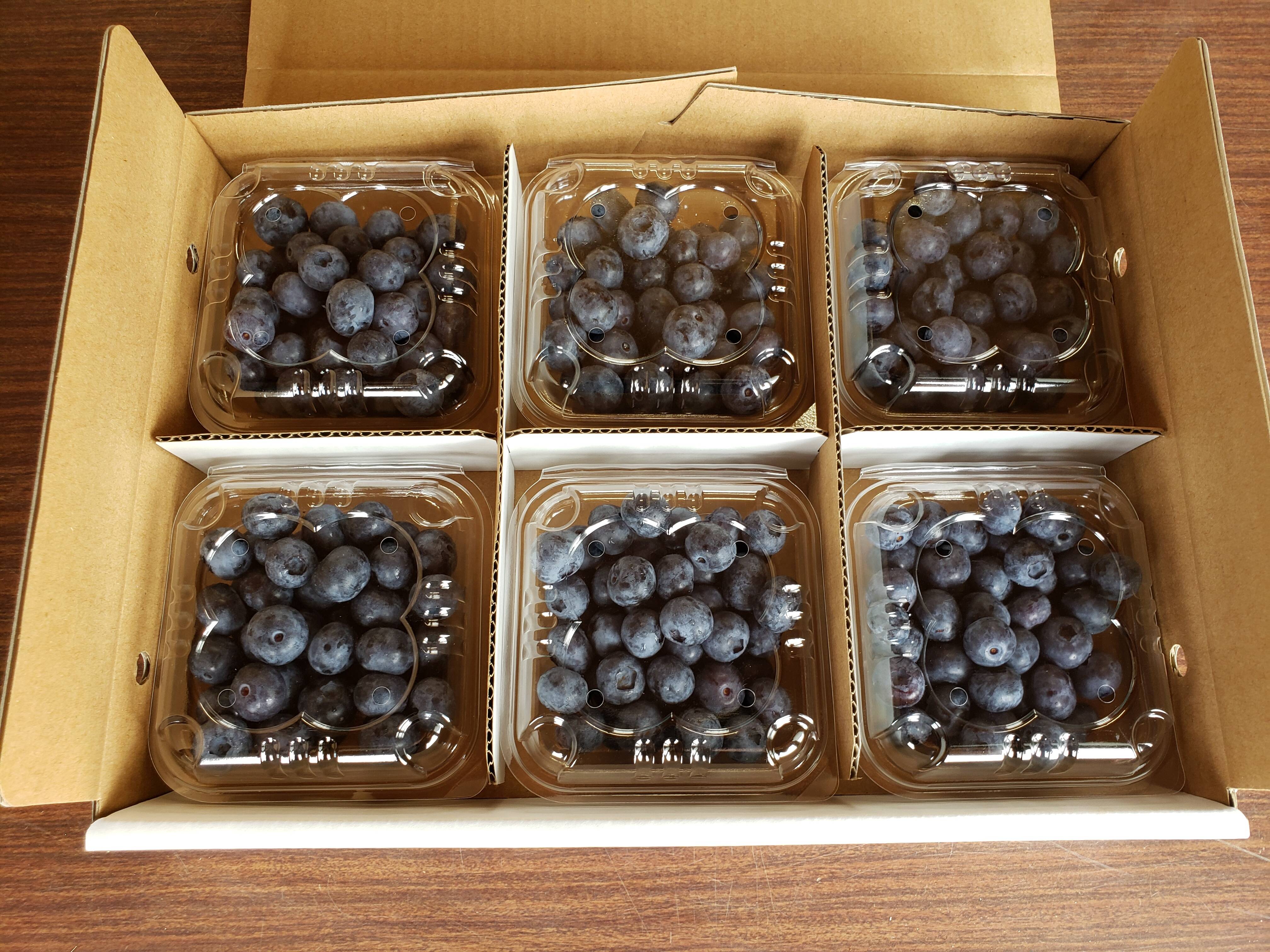 摘みたて 農薬不使用 千葉県産 生ブルーベリー 100g×6パック 2セット 1,2kg：千葉県産のブルーベリー｜食べチョク｜産地直送(産直)お取り寄せ通販  - 農家・漁師から旬の食材を直送