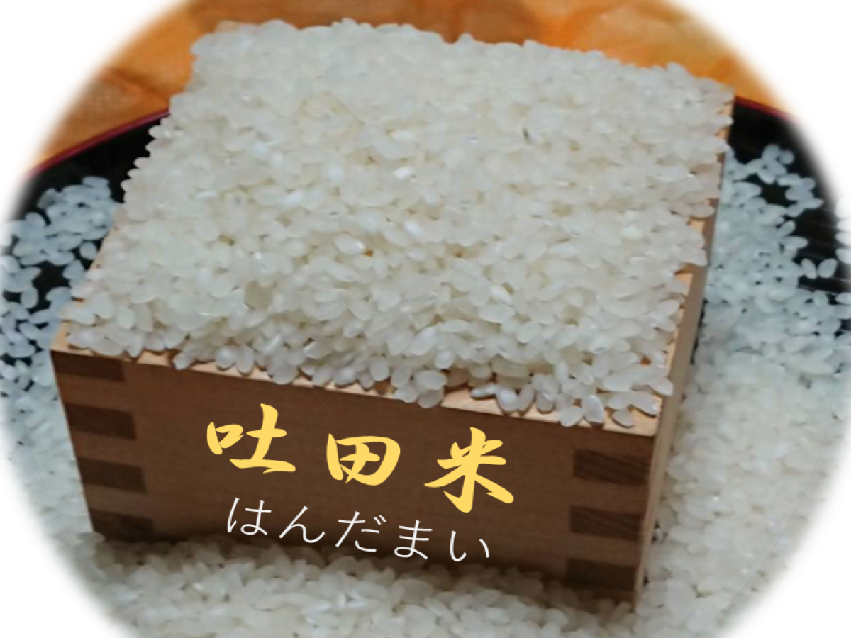 超特価SALE開催！ 令和4年産 奈良県産ヒノヒカリ約10kg 白米 農家直送