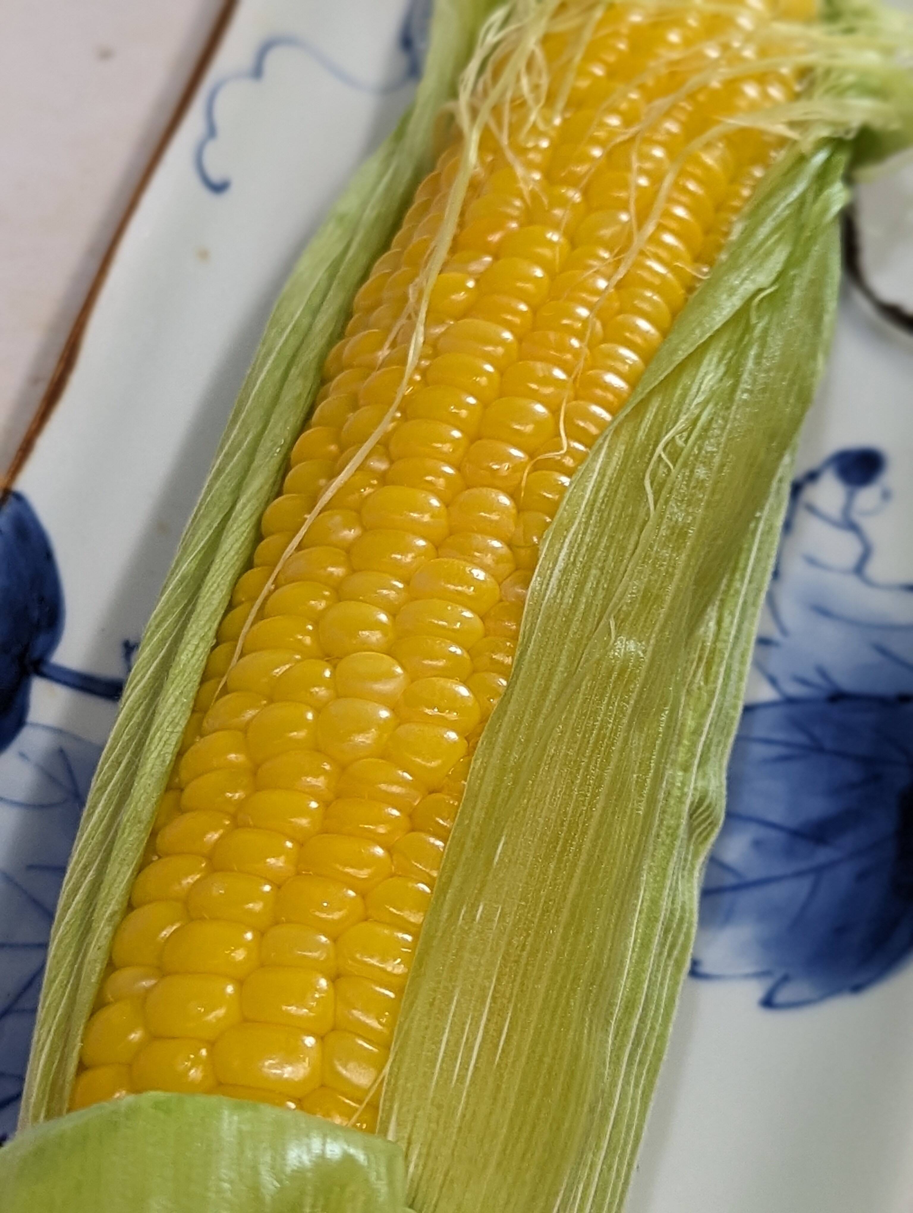 シャキっと甘い！とうもろこし4.5kg(8-11本)：静岡県産のゴールド