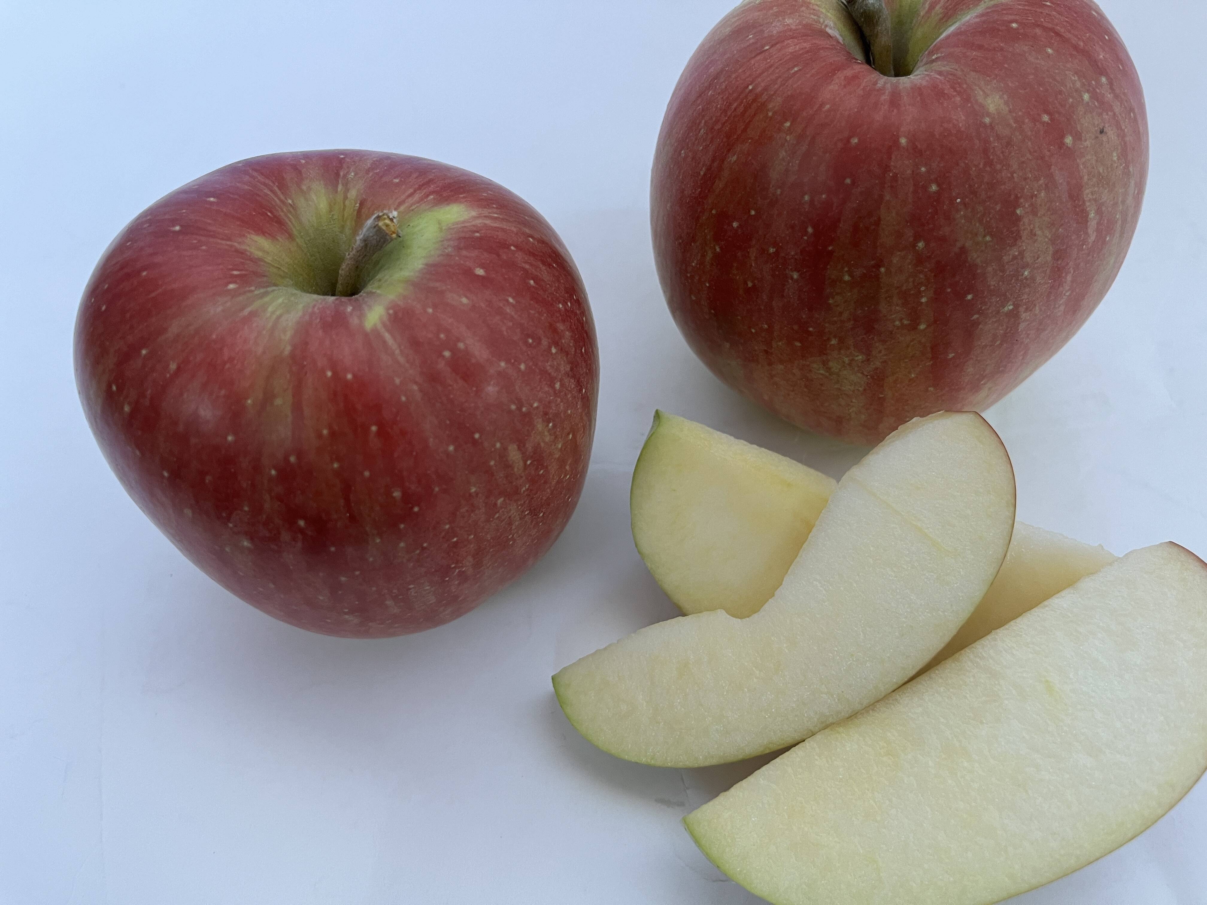 シナノスイート 家庭用 10kg（28～40玉）：山形県産のシナノスイート