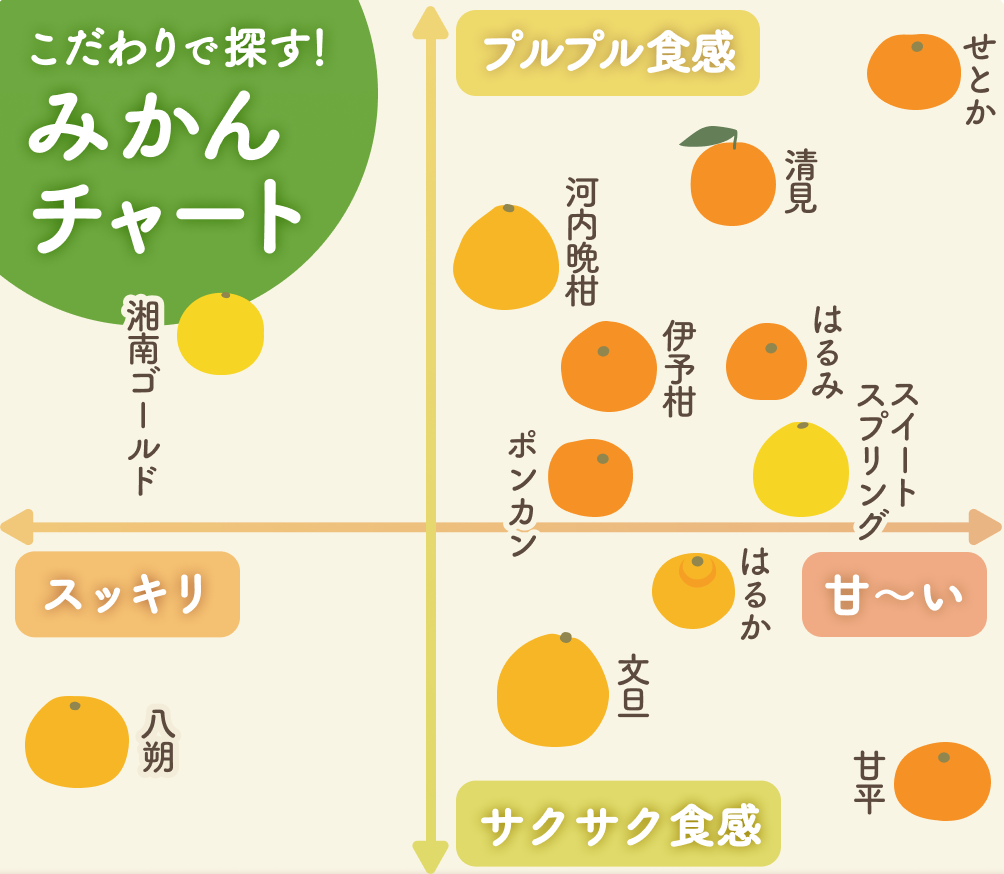 味の好みで探す！みかん品種まとめ