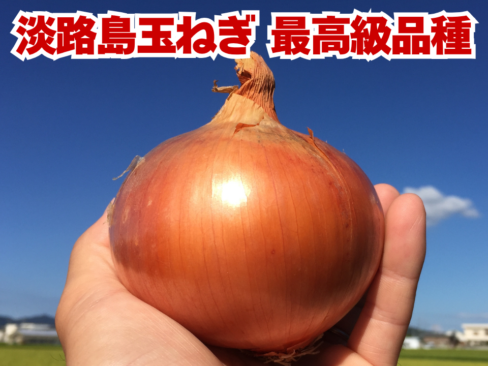ぶーやん！淡路島産玉ねぎ20kg混合 淡路島産 たまねぎ 訳あり20kg【飲食店向け】玉葱タマネギオニオン