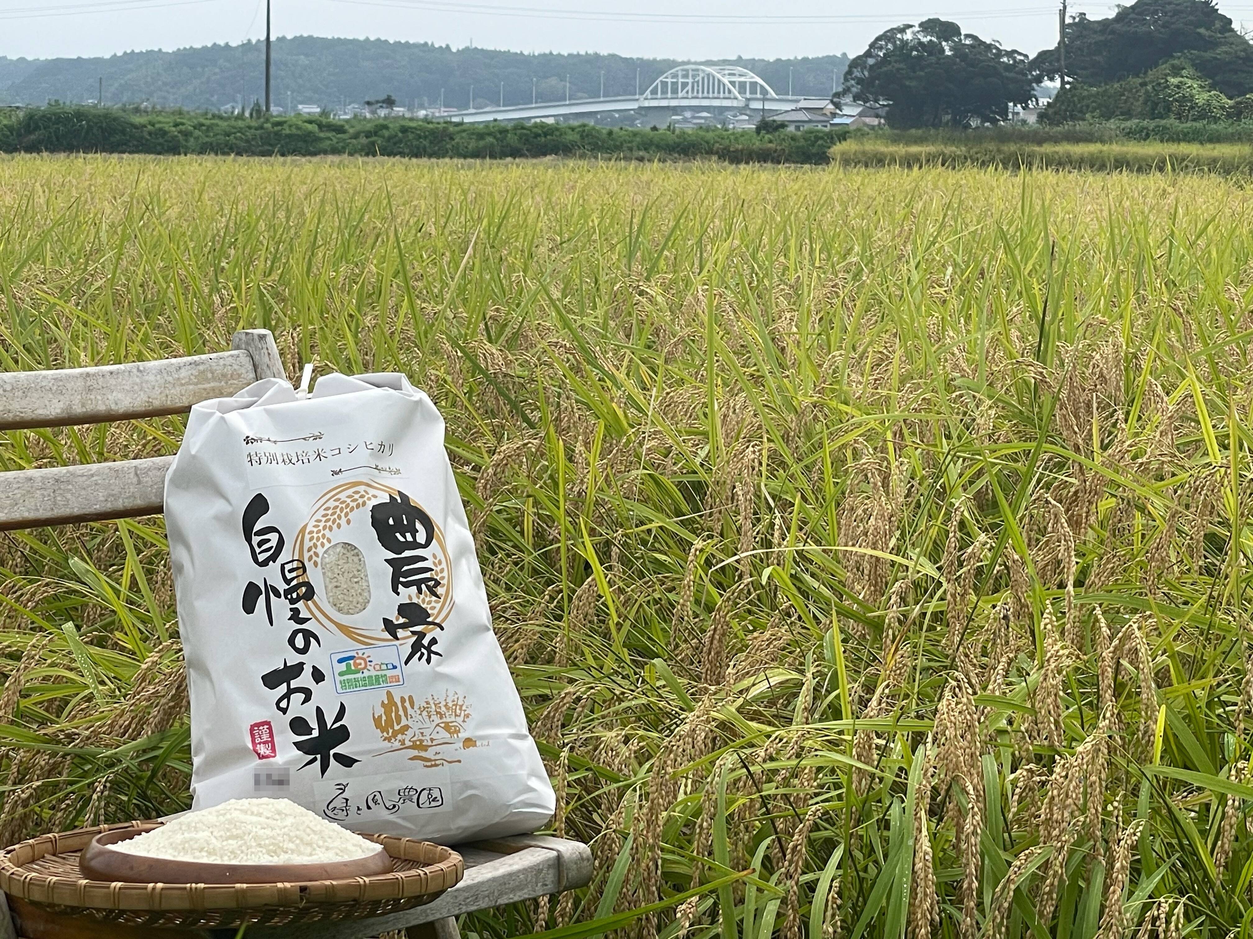 甘くてモチモチ！コシヒカリ特別栽培米新米(10kg) ー注文後精米