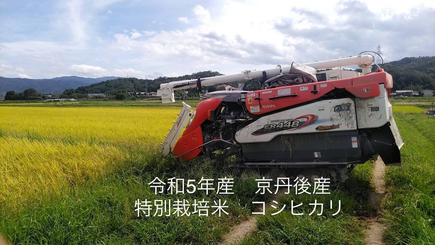 新米】♣️一度食べてみて欲しいお米 麻奈為🌾 京丹後峰山産 特別栽培