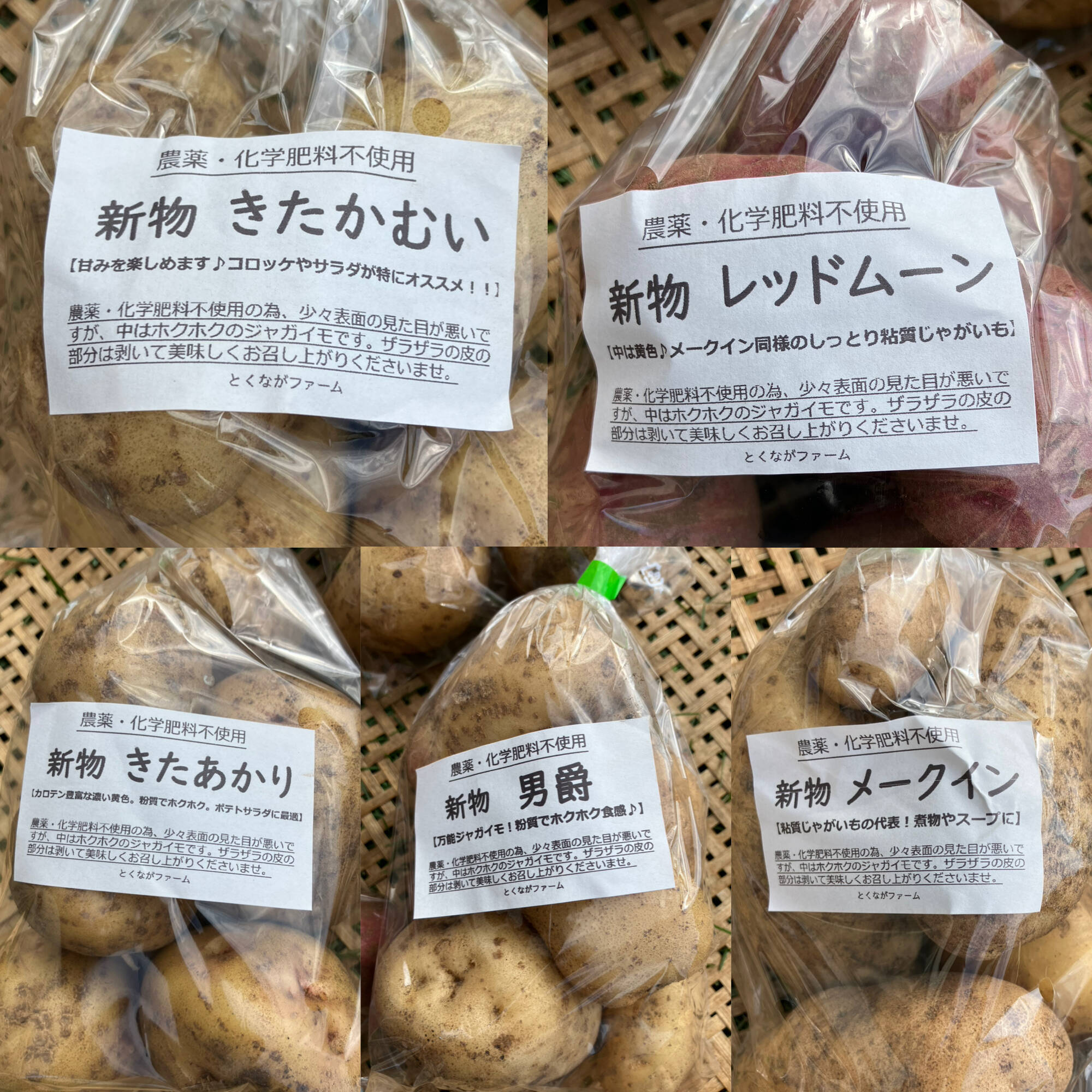 北海道　じゃがいも　北あかり1,7kg  ジャガイモ　ほくほく甘い旨い！