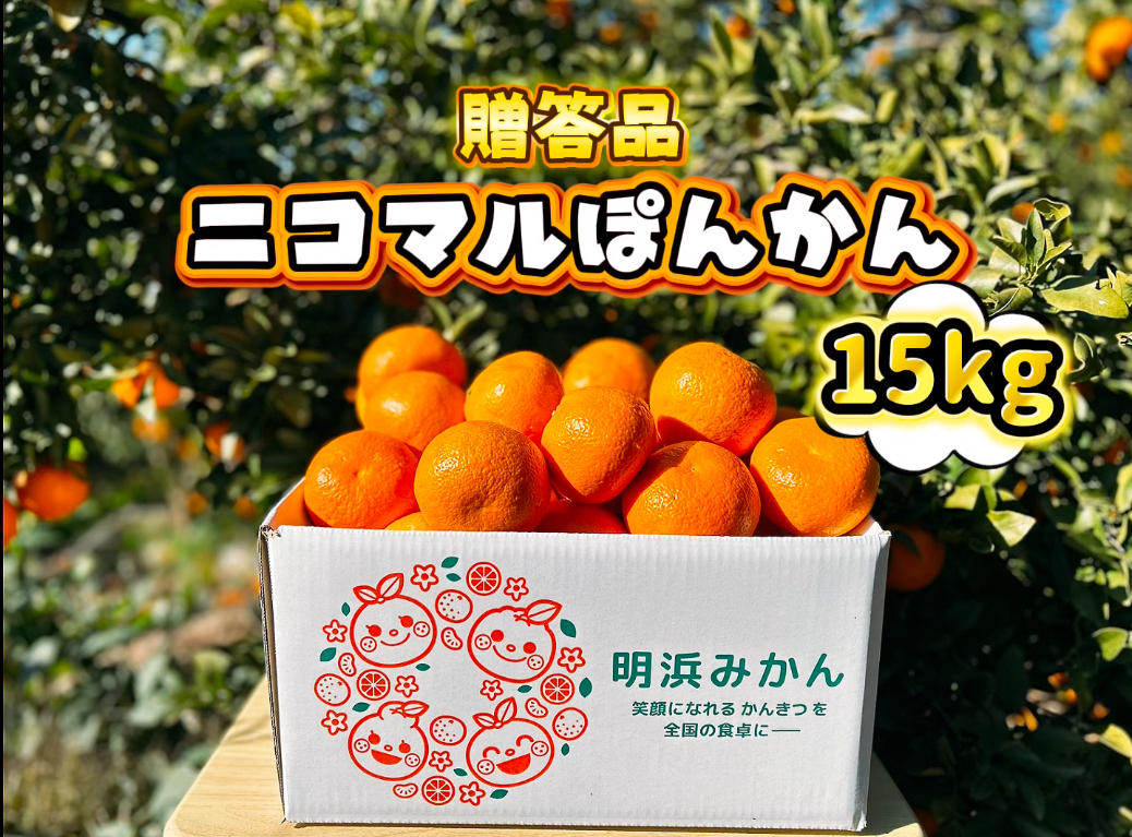 愛媛県産】季節限定 甘味がギュッと詰まったポンカン 贈答用 15kg
