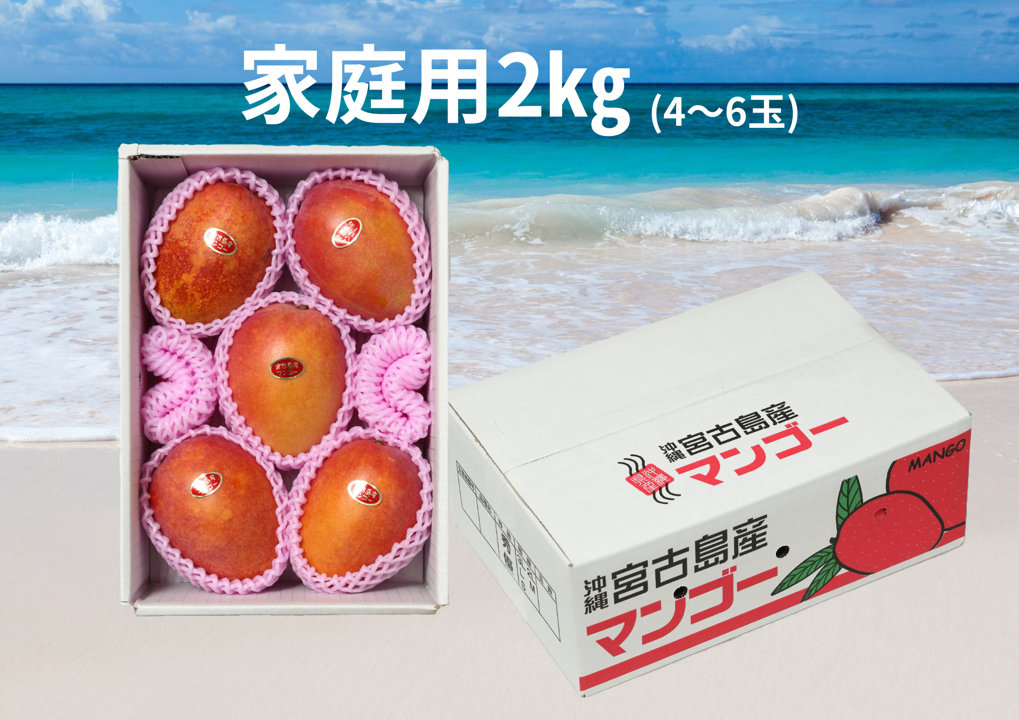 家庭用】宮古島産完熟マンゴー2㎏(4～6玉)：沖縄県産のその他マンゴー
