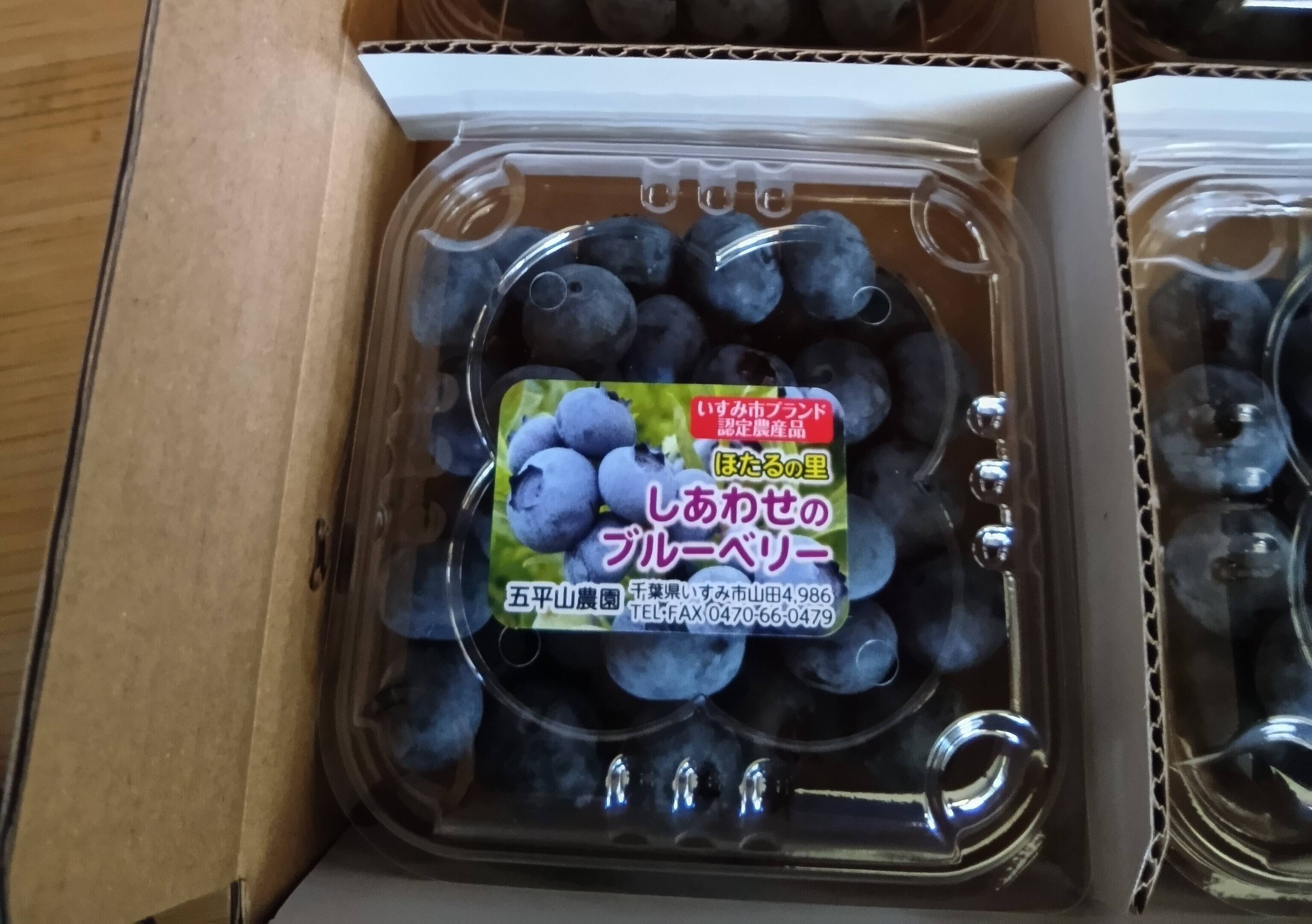 農薬・化学肥料不使用】完熟！しあわせのブルーベリー（生食用