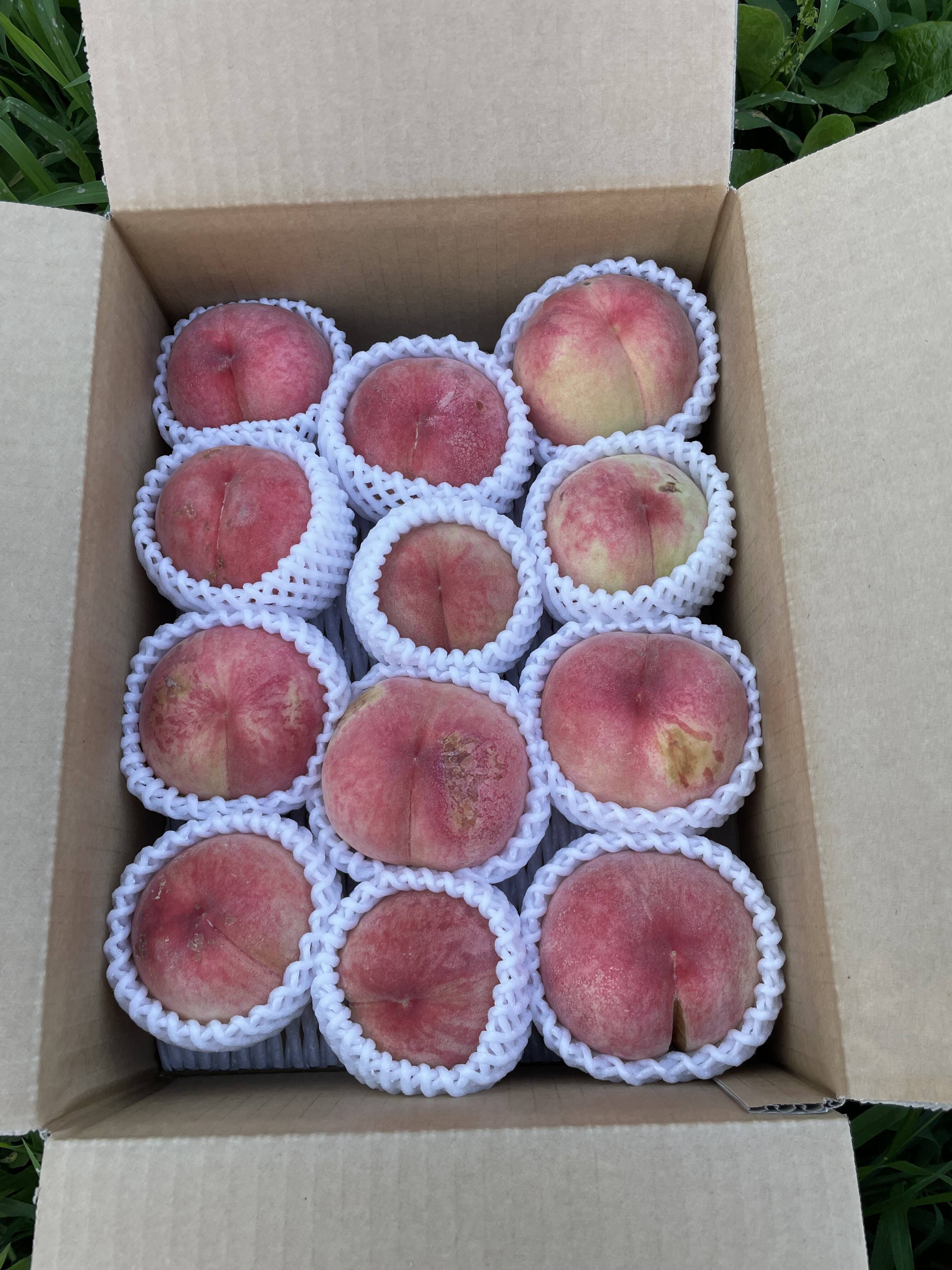 山形県産♦︎とれたて！ご自宅向け！川中島白桃 ♦︎約3キロ箱満杯詰め