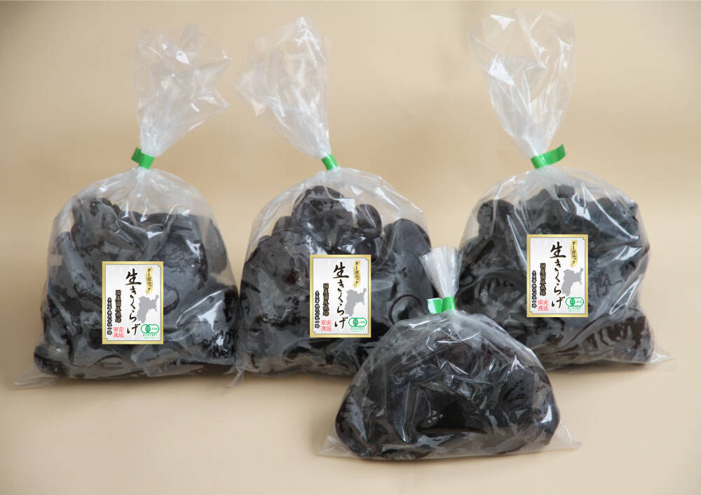 生きくらげ ≪オーガニック≫【業務用】国産生きくらげ（黒）（300g×3袋）+