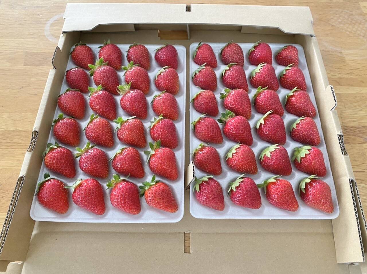 ab8688a4768b2207d3516ad794c006