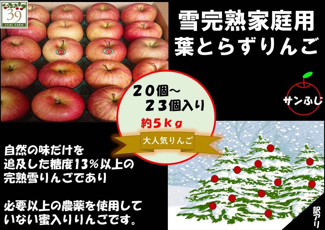秋田県産リンゴ(さんさ) ご家庭用 - 果物