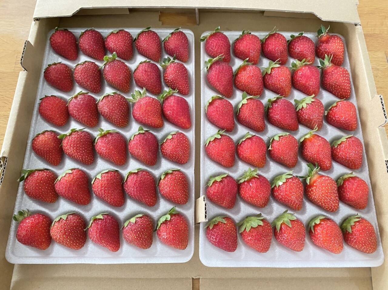 山形県産 いちご (苺の品種はおまかせ) 約280g×3パック【令和7年
