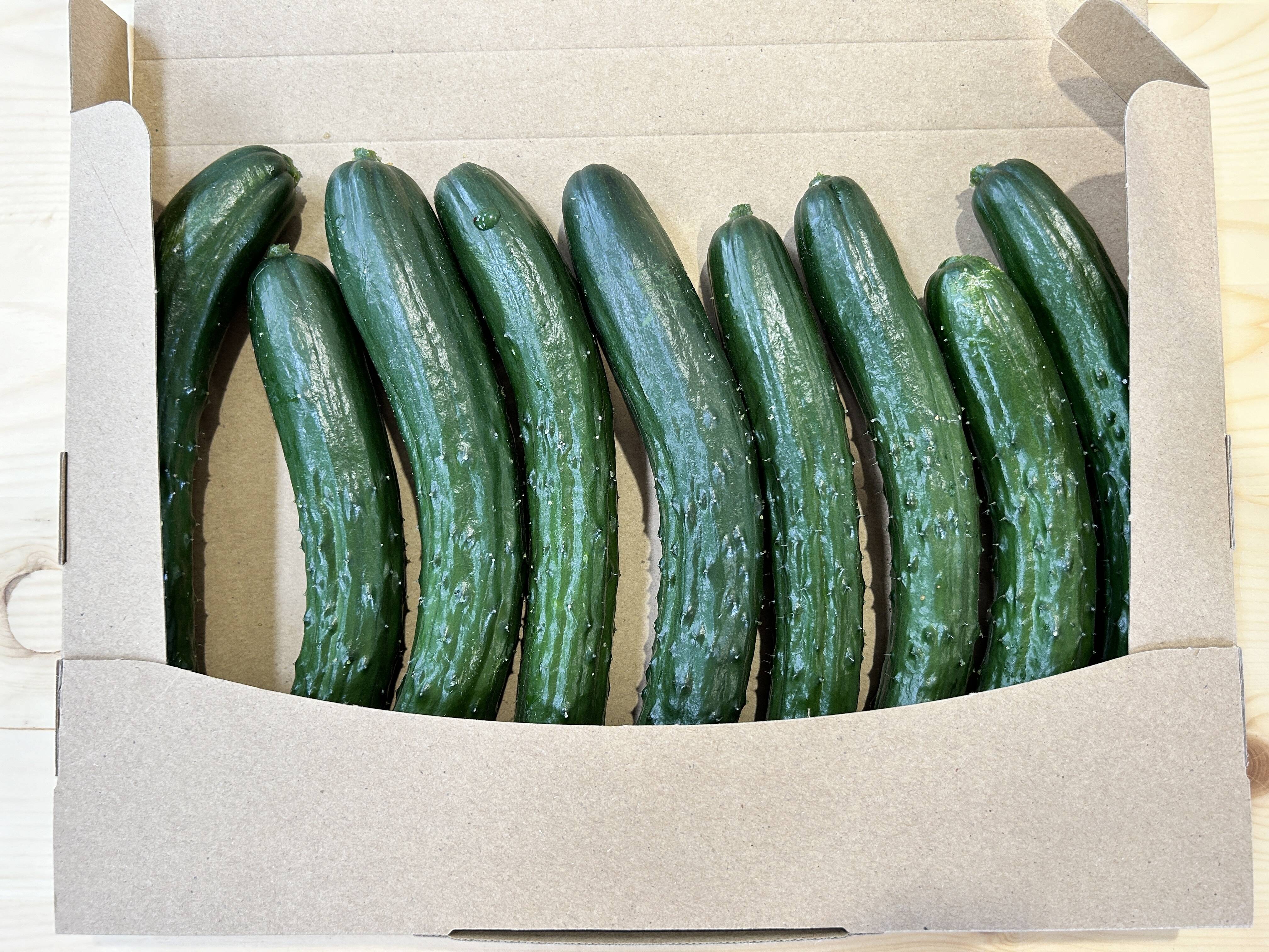 市場のプロ厳選！訳あり『おのんきゅうり』（1kg）：長崎県産のその他