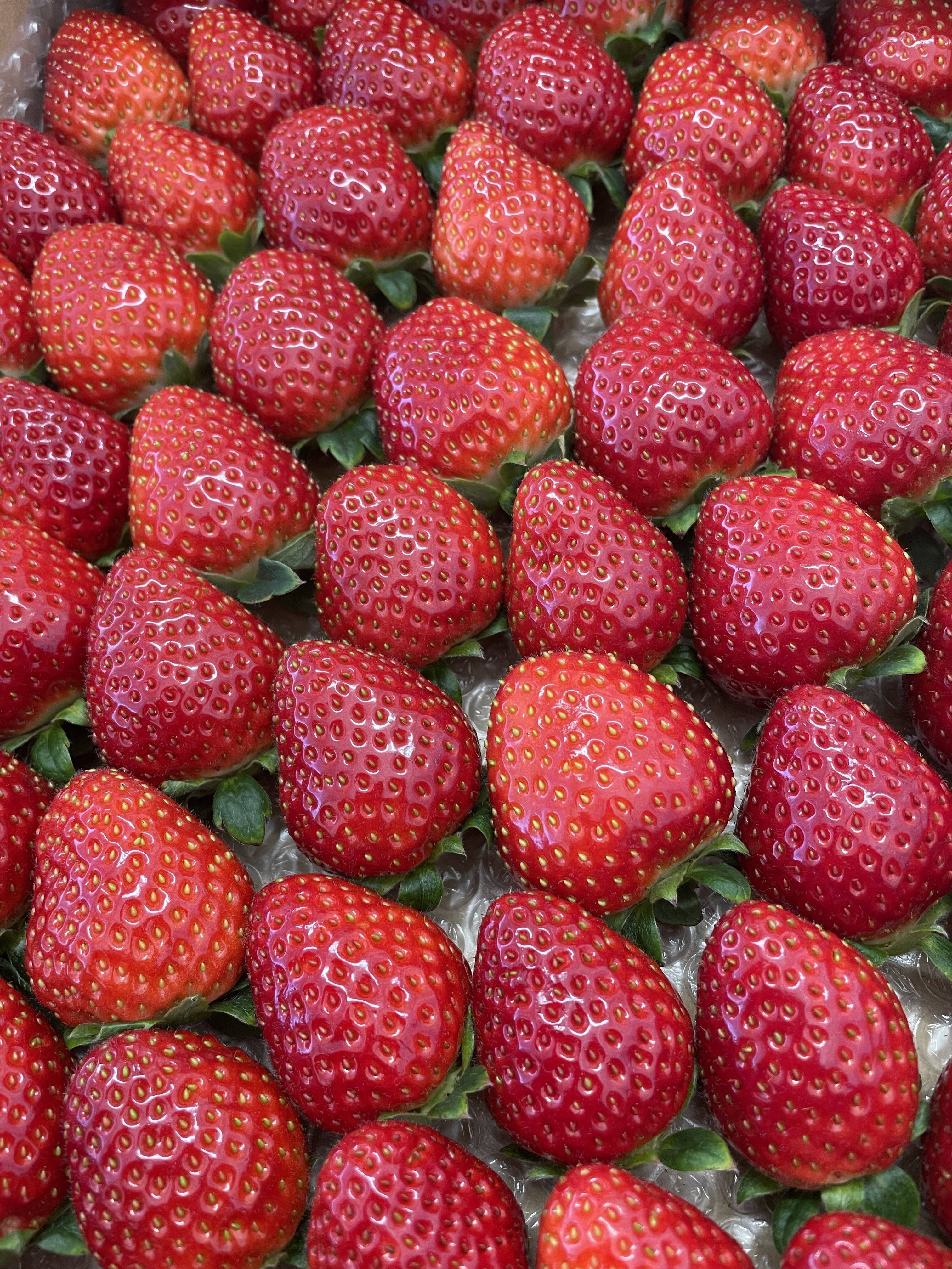 ac326f7f8ac778e1ff79eef2bff402