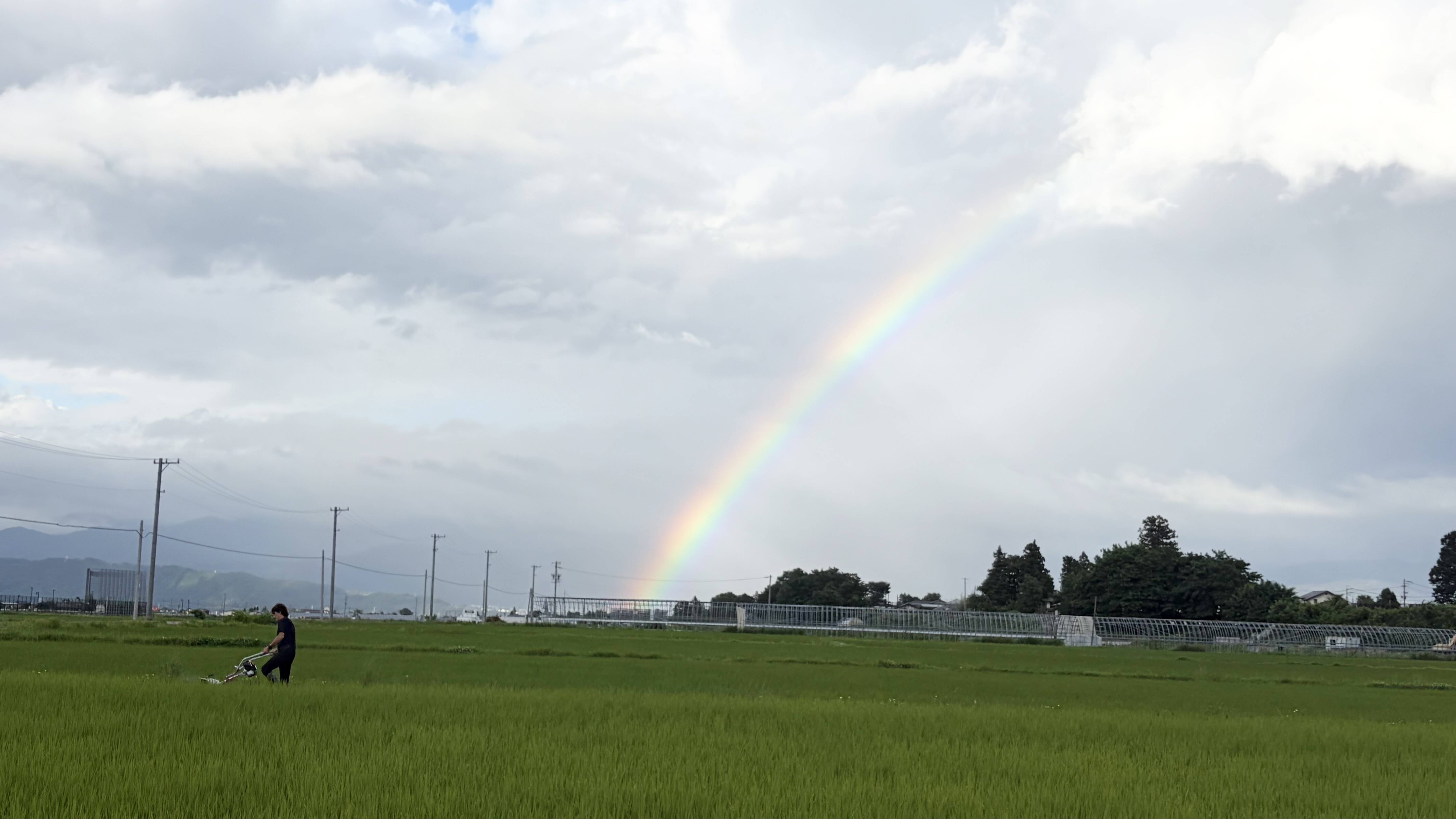 予約注文》 令和8年産 農薬不使用 コシヒカリ 玄米10kg：長野県産の
