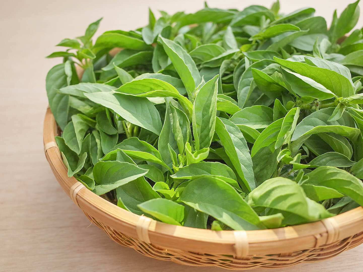採れたて！新鮮ライムバジル 300g 【農薬化学肥料不使用】：岡山