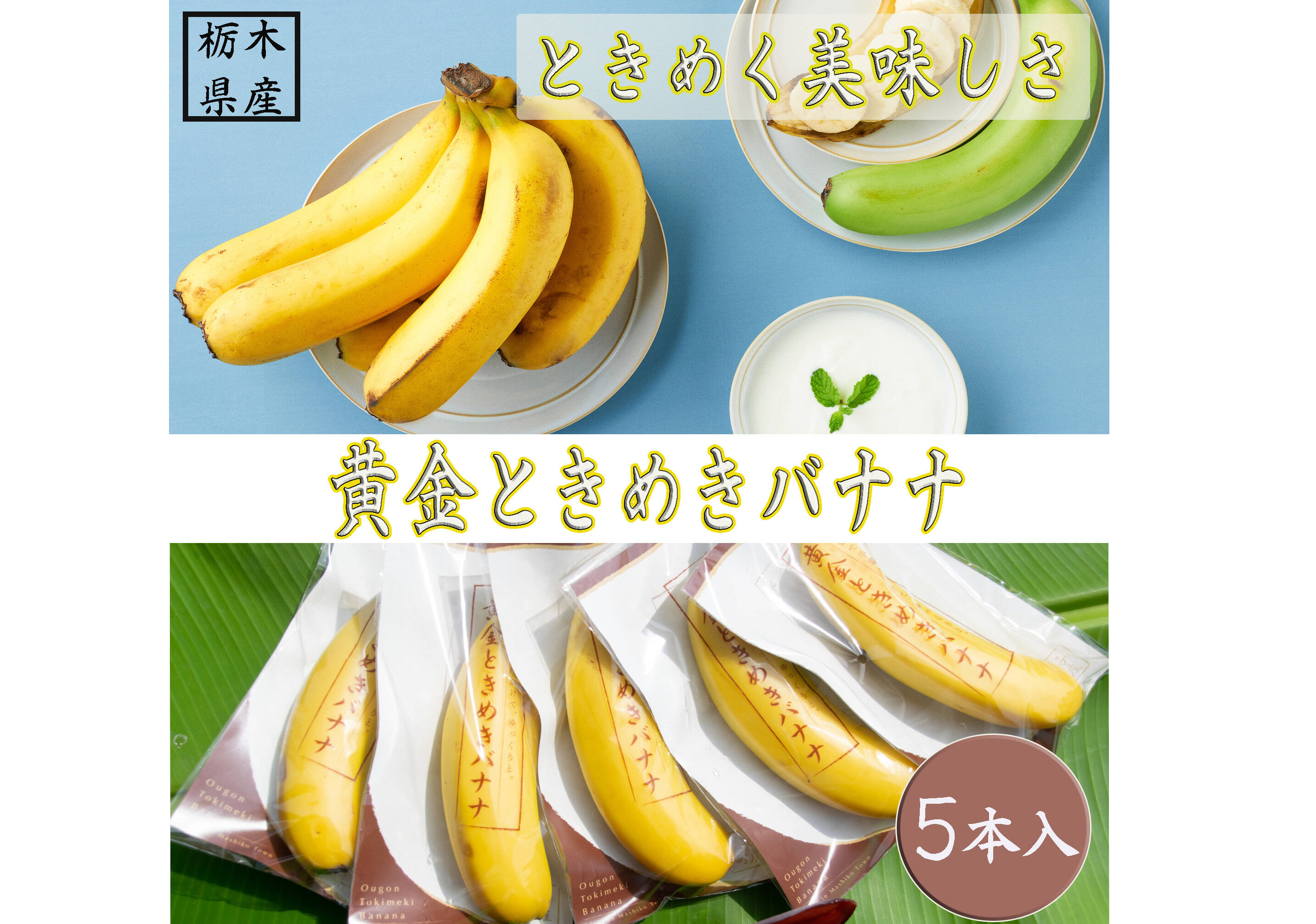 ac6aec78ceeec412fde77f47dfe484 