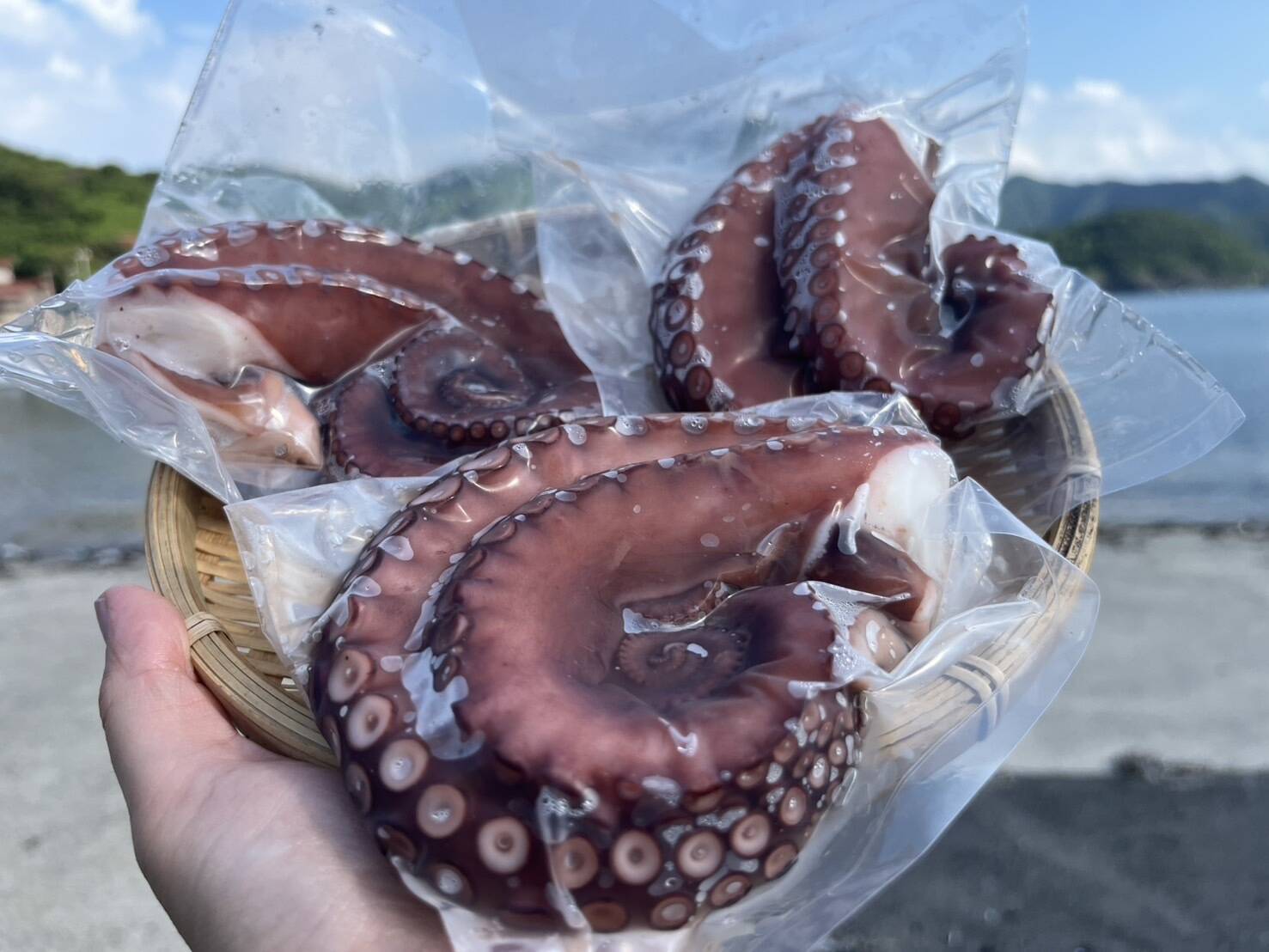 プリップリ触感！島根県産たこ「ボイル真だこ」1kg（小分けパック