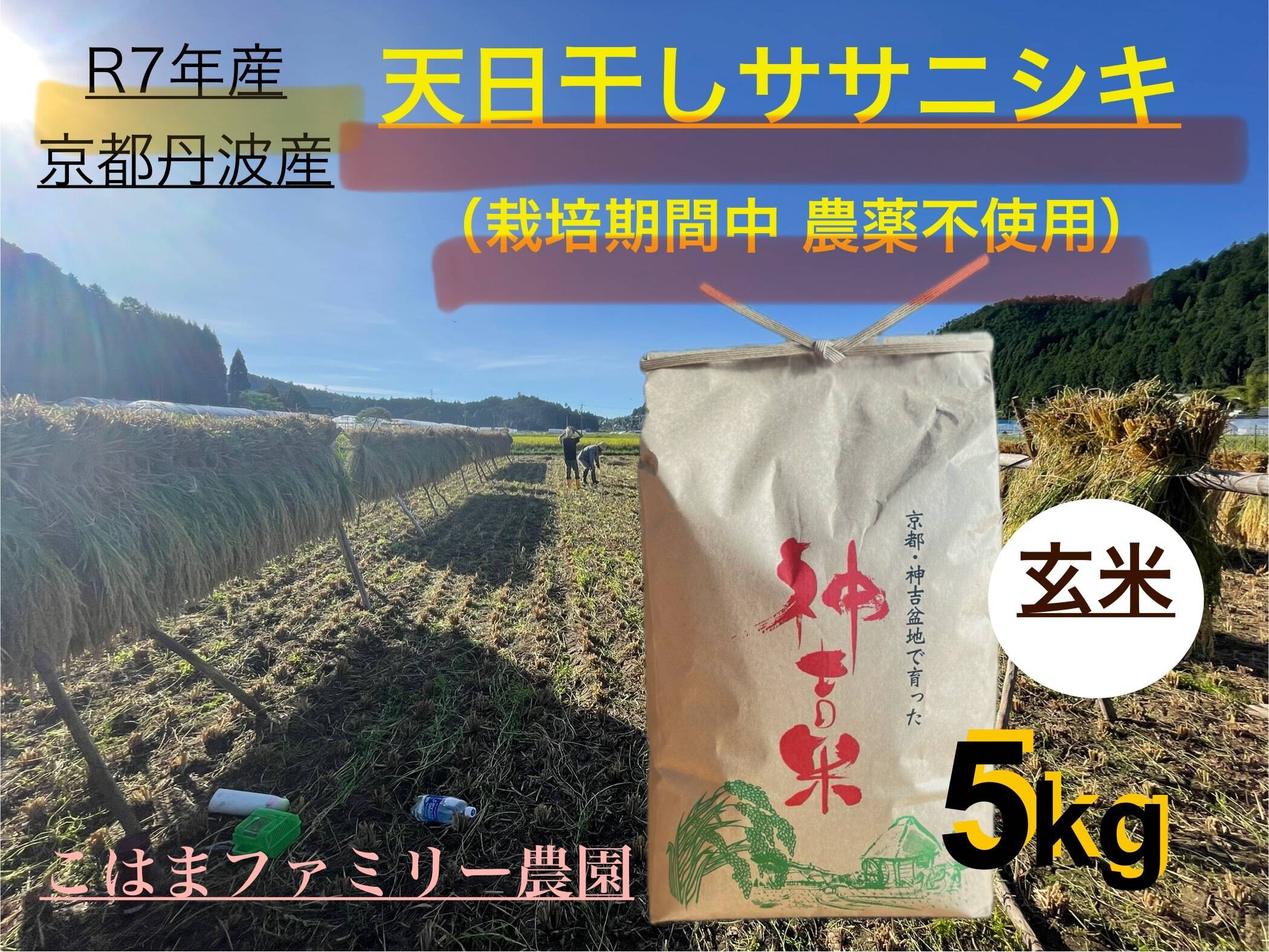 貴重な天日干し！京都府南丹市産「ササニシキ」玄米5kg（栽培期間中