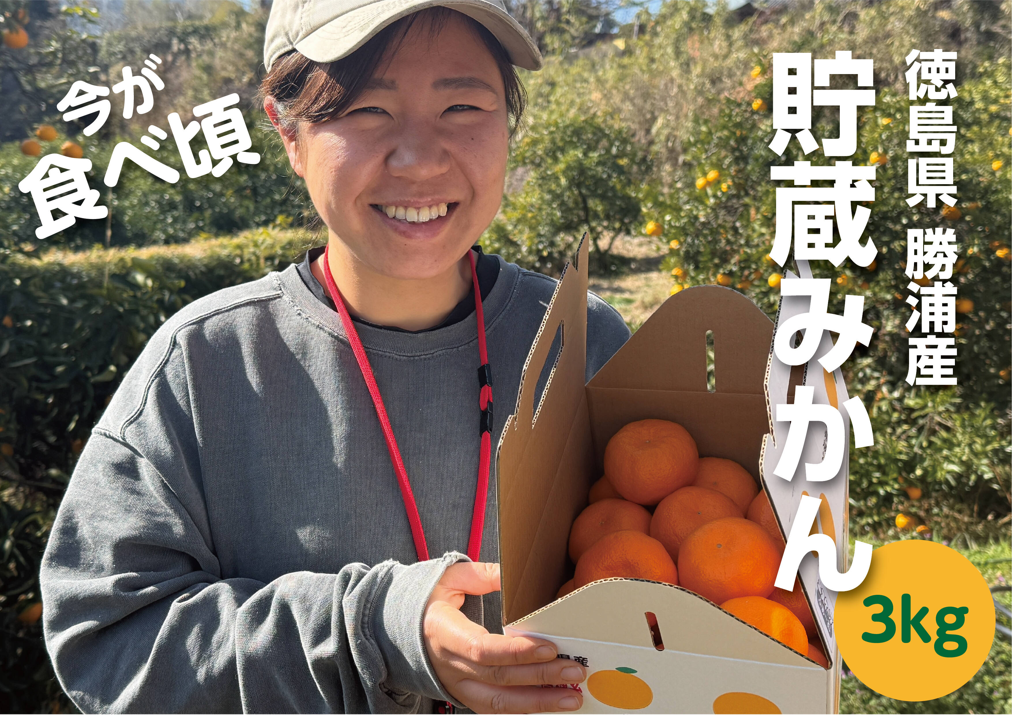 勝浦産 貯蔵みかん（赤秀）3kg｜徳島県勝浦町：徳島県産の古田｜食べ