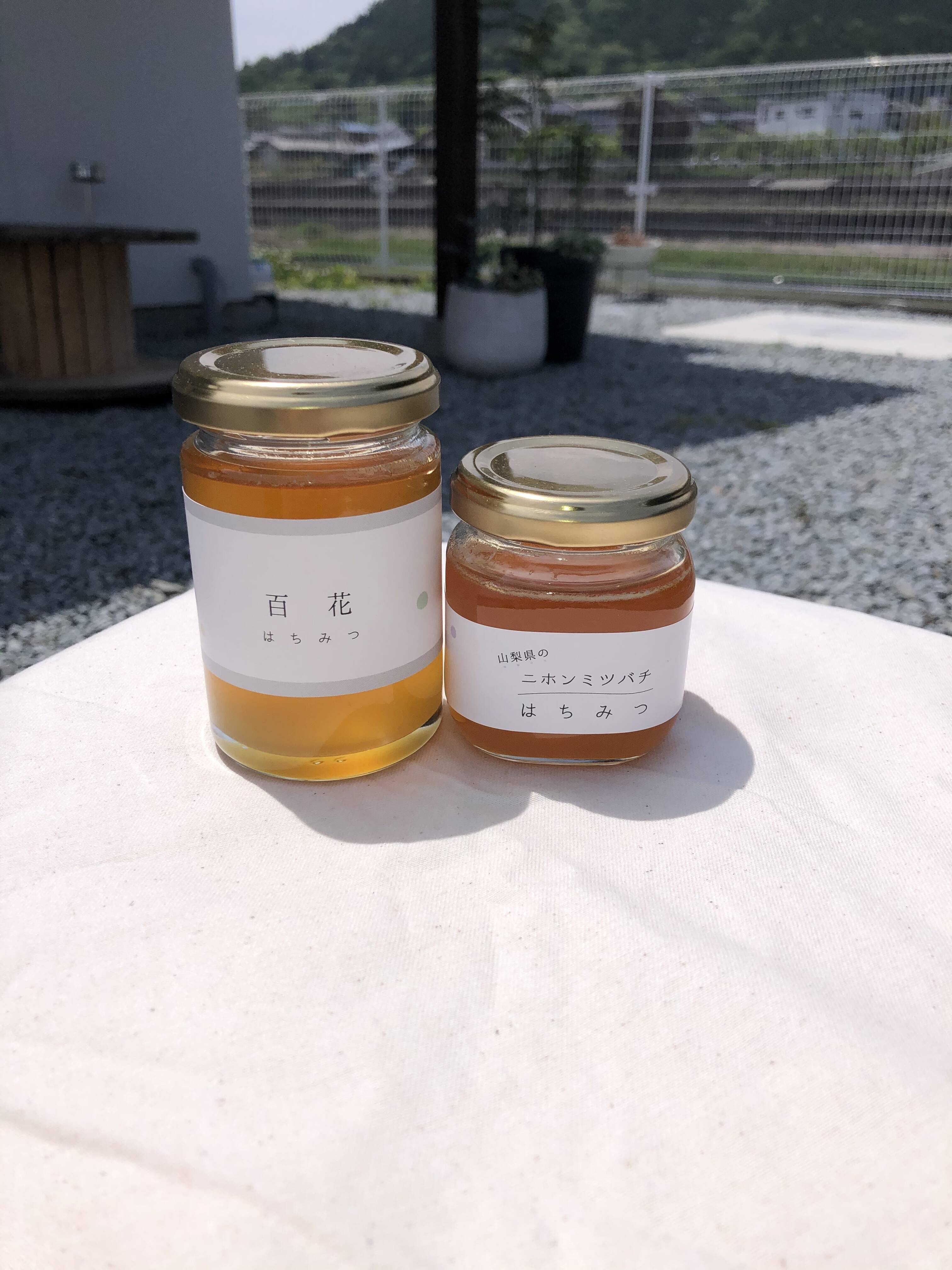 日本蜜蜂 蜂蜜 味比べ - その他