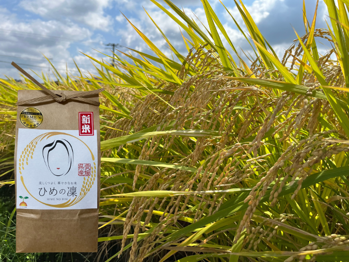 ✨令和6年産新米 ✨「ひめの凜」 プレミアムクオリティ 一等米(2㎏):愛媛 ✨令和6年産新米 ✨「ひめの凜」 プレミアムクオリティ 一等米(2㎏):愛媛