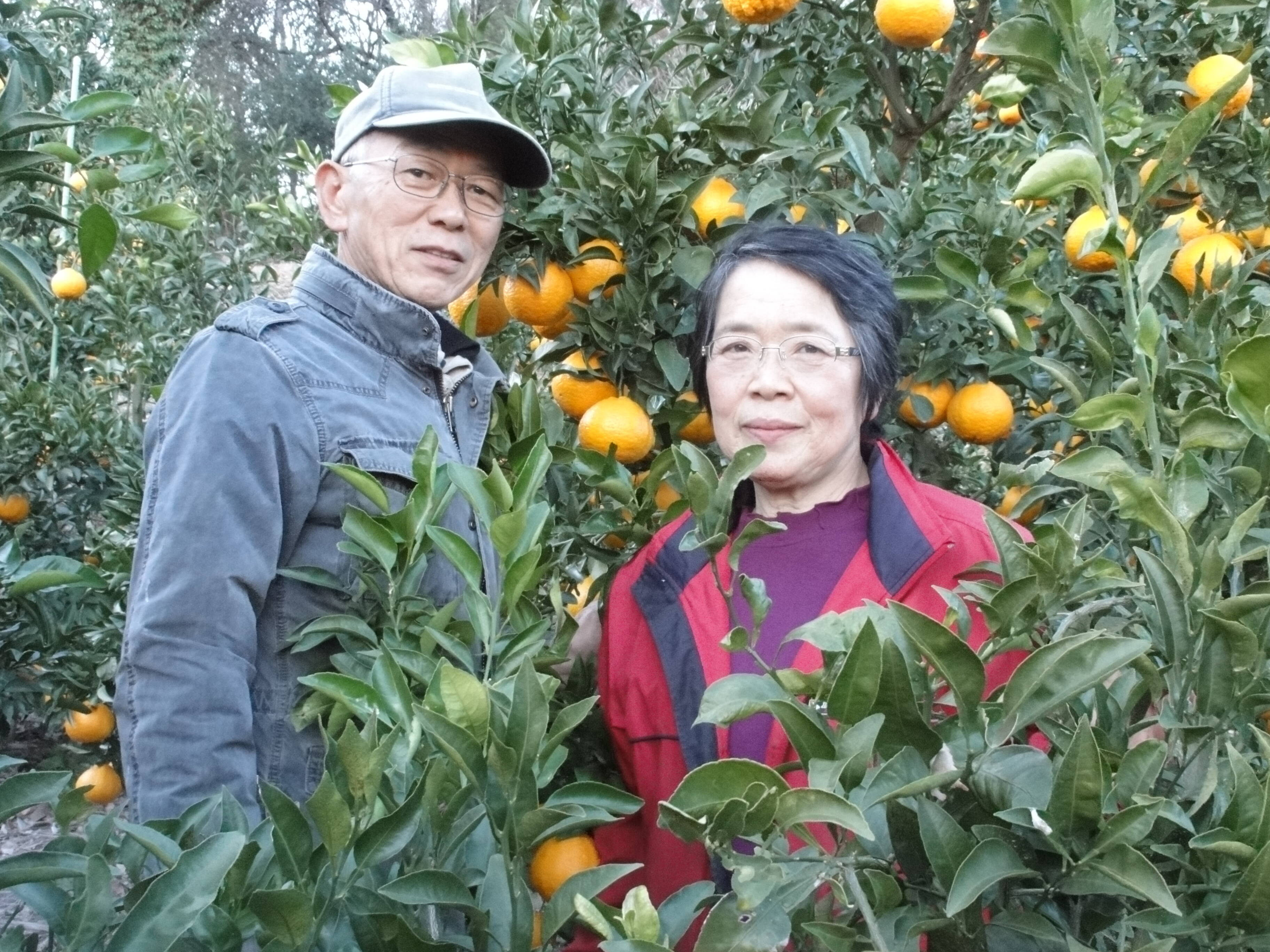 食べ比べ🍊お任せお届けみかん 5kg 】何が入っているかな、お楽しみに