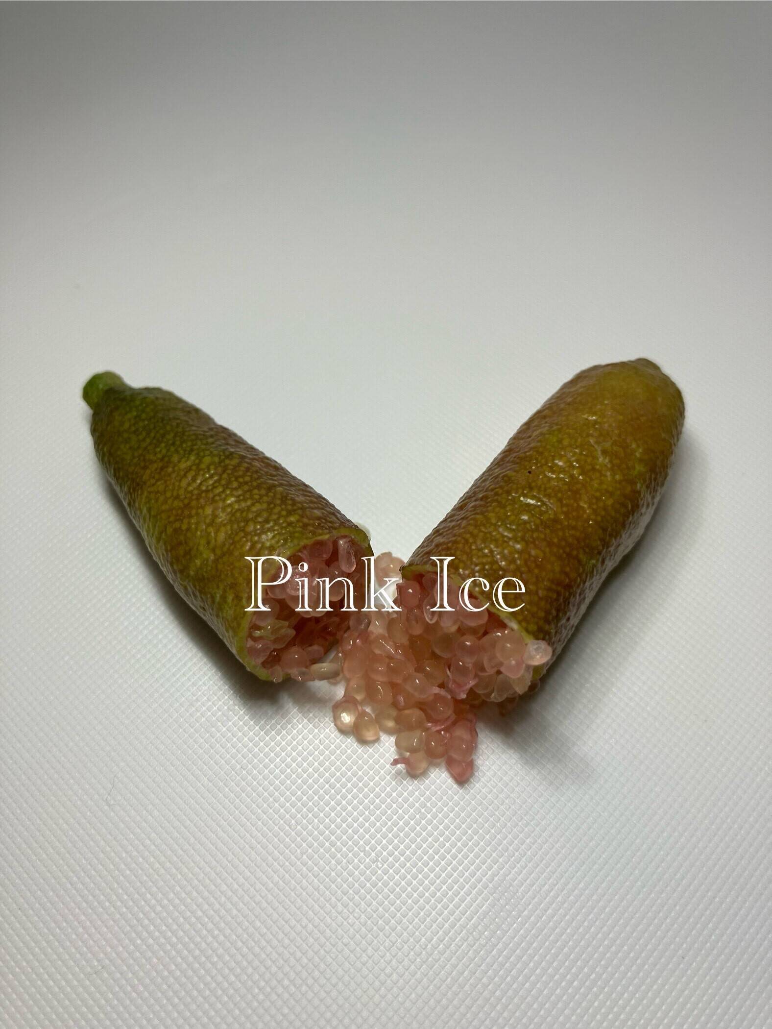 埼玉県産 フィンガーライム 100g 品種名：ピンクアイス / ミアローズ