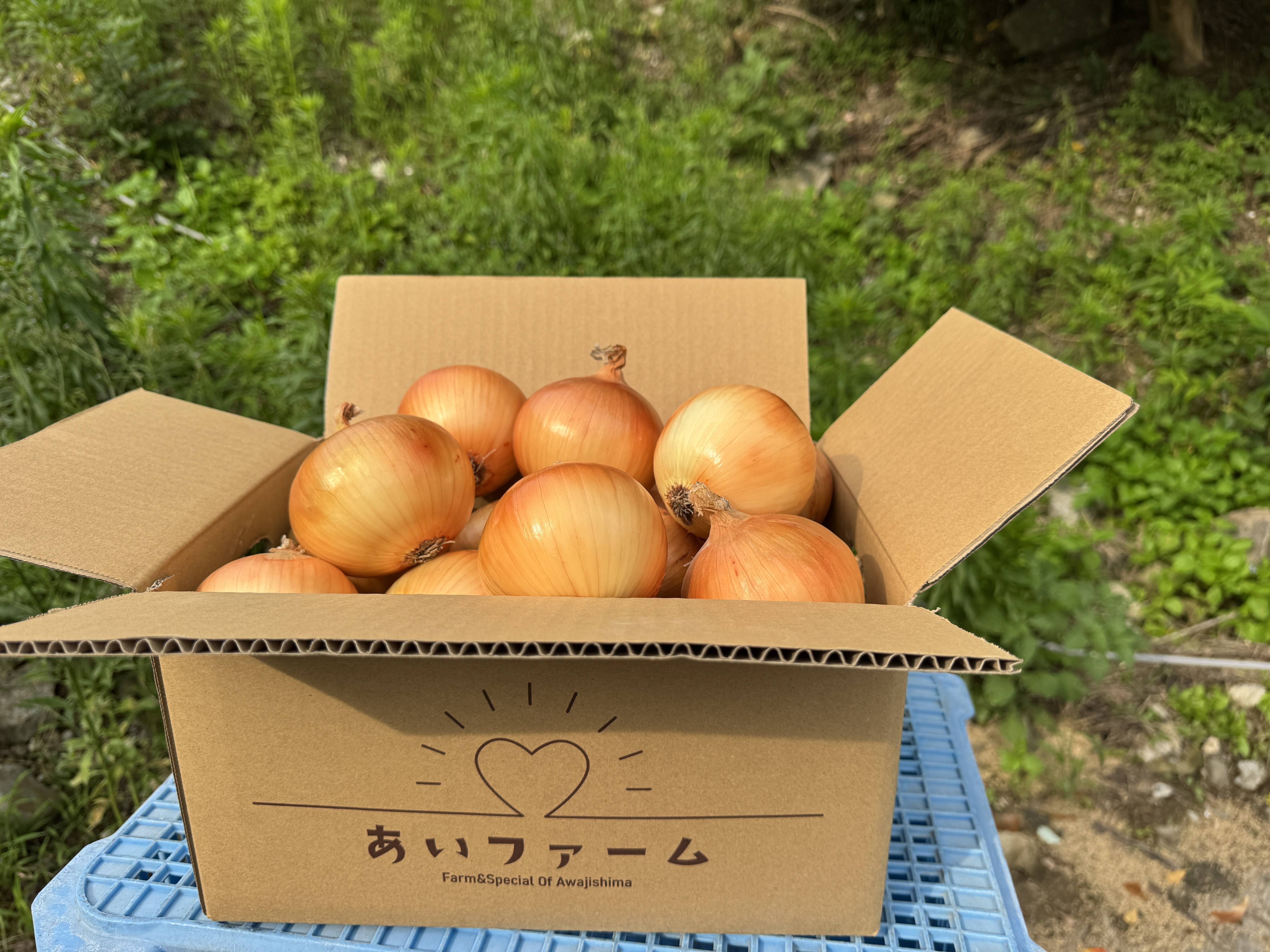 人気上昇中！！】甘さたっぷり！淡路島産玉ねぎ！ターザン10㎏：兵庫