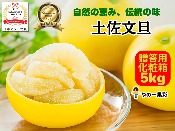 高知県産土佐文旦 5キロ、即購入OK 文旦 土佐文旦 5kg サイズお任せ (約12〜17玉）訳あり ご家庭用 高知県