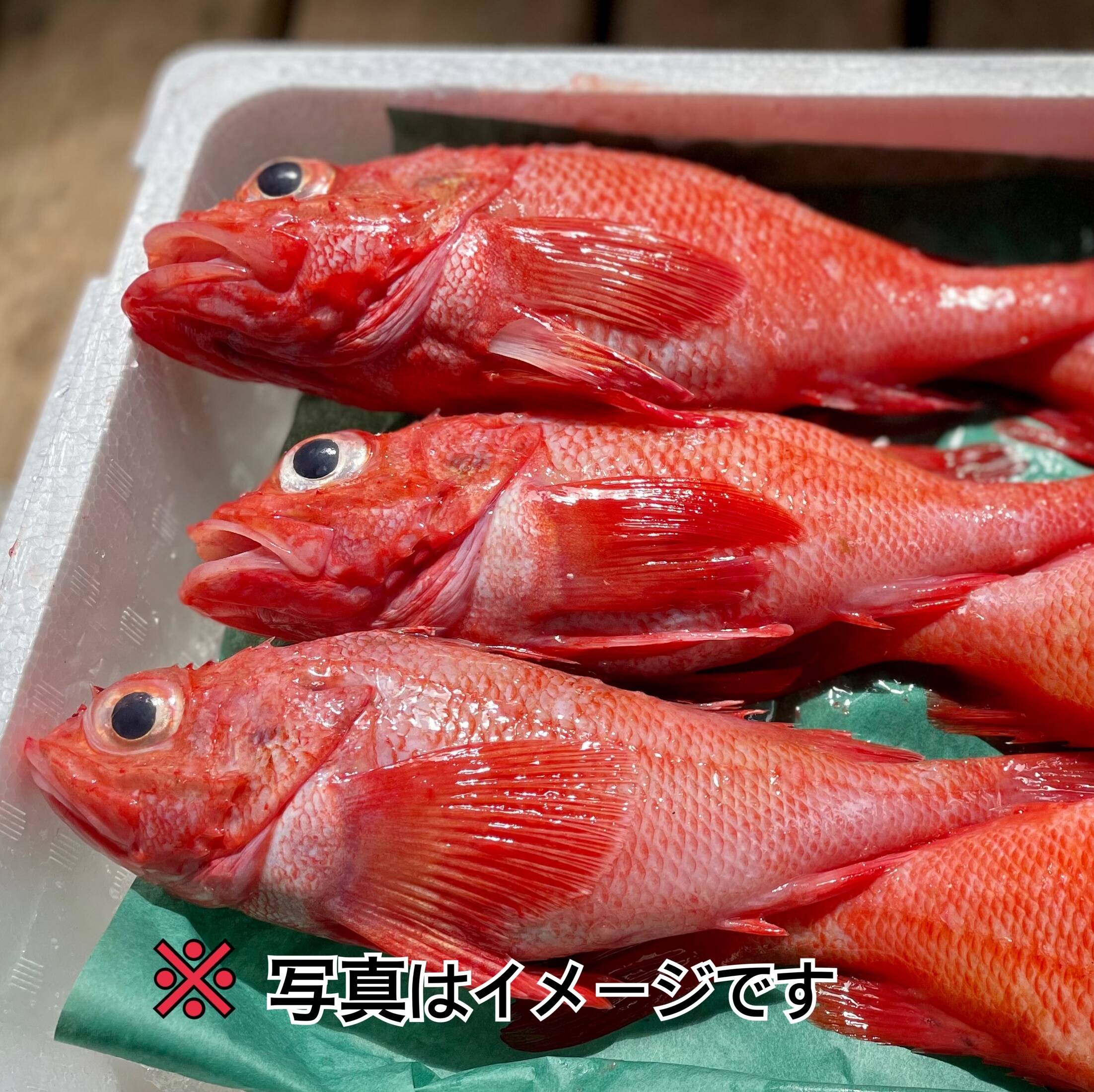 ラストチャンス】キンキ 大サイズ船上活締め 朝どれ 1kg3尾：北海道産のキンキ｜食べチョク｜産地直送(産直)お取り寄せ通販 - 農家・漁師から旬の 食材を直送