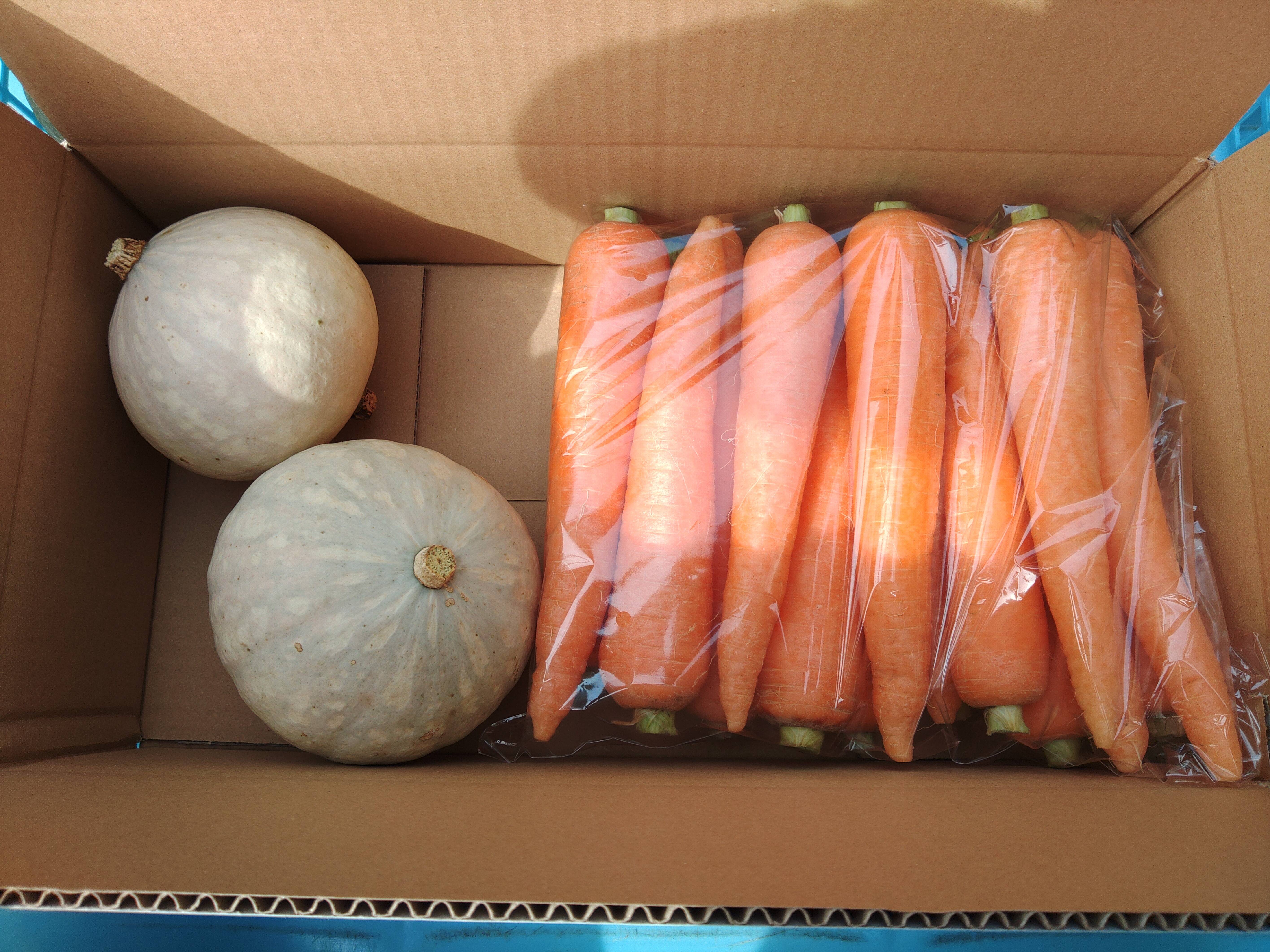 野菜2種セット】 彩誉ニンジン 2.5kg × 白爵かぼちゃ 2個（600g×2
