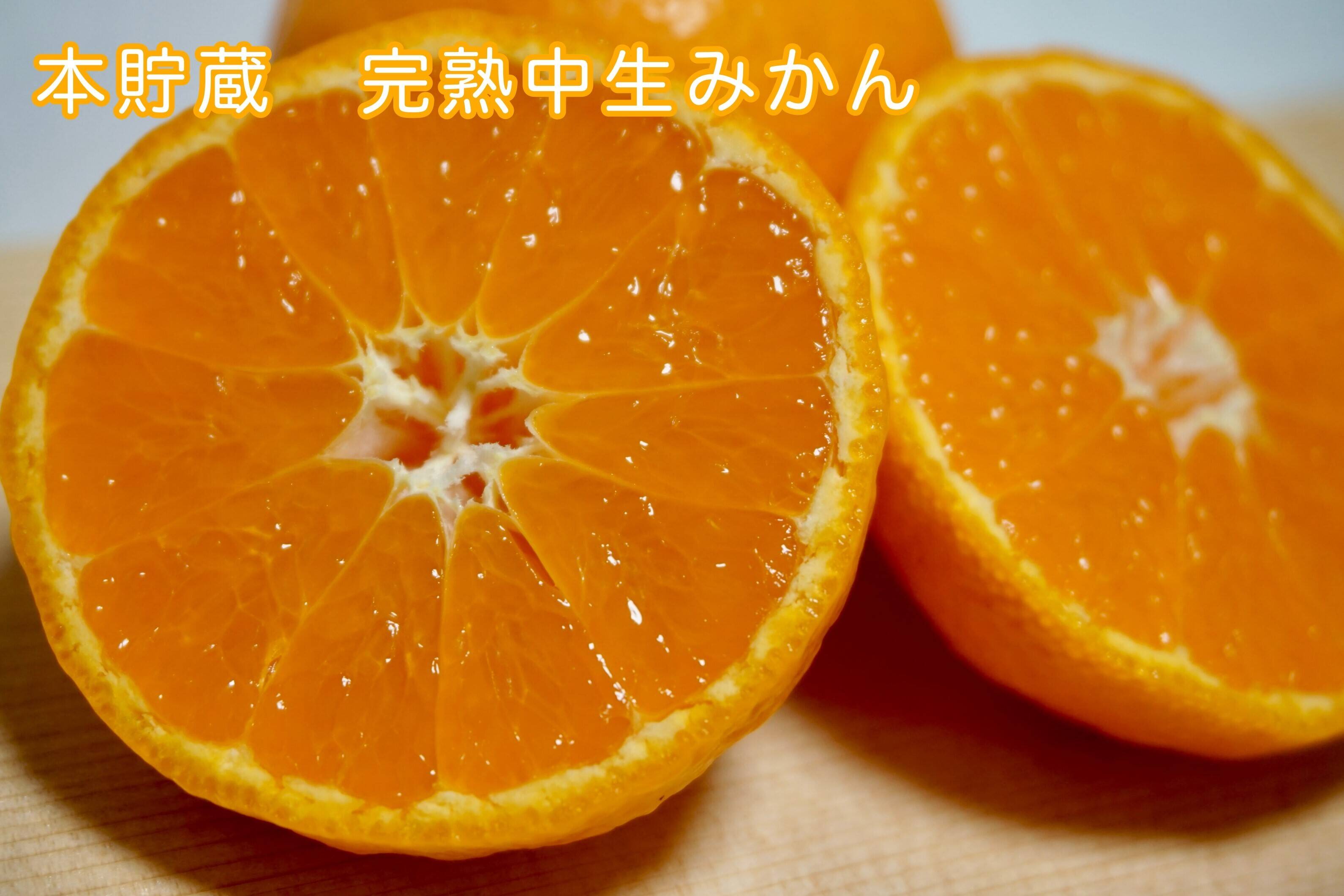 冬ギフト】『本貯蔵 完熟中生みかん』約2kg SS~Lサイズ：和歌山県産の